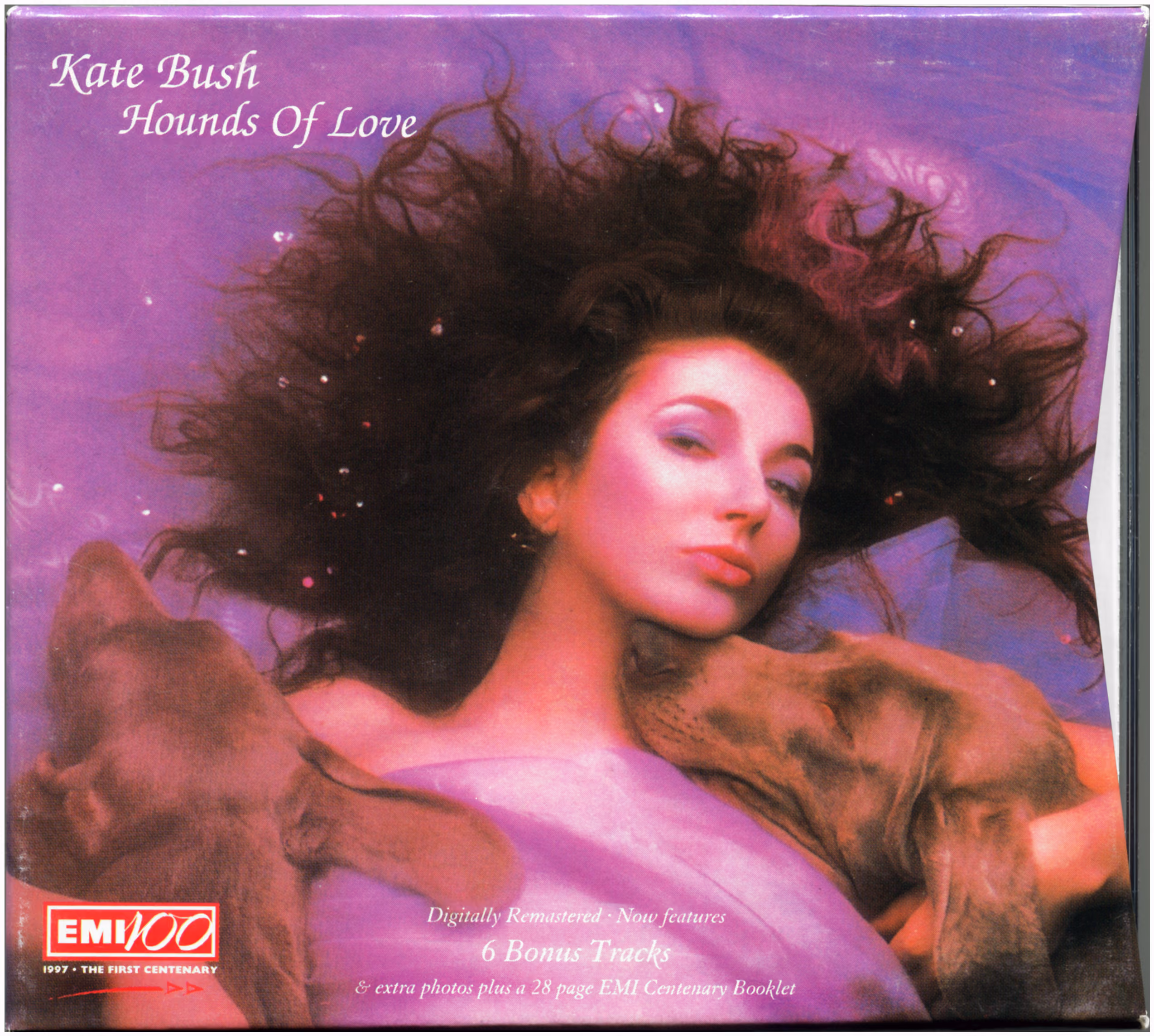 Hounds Of Love
