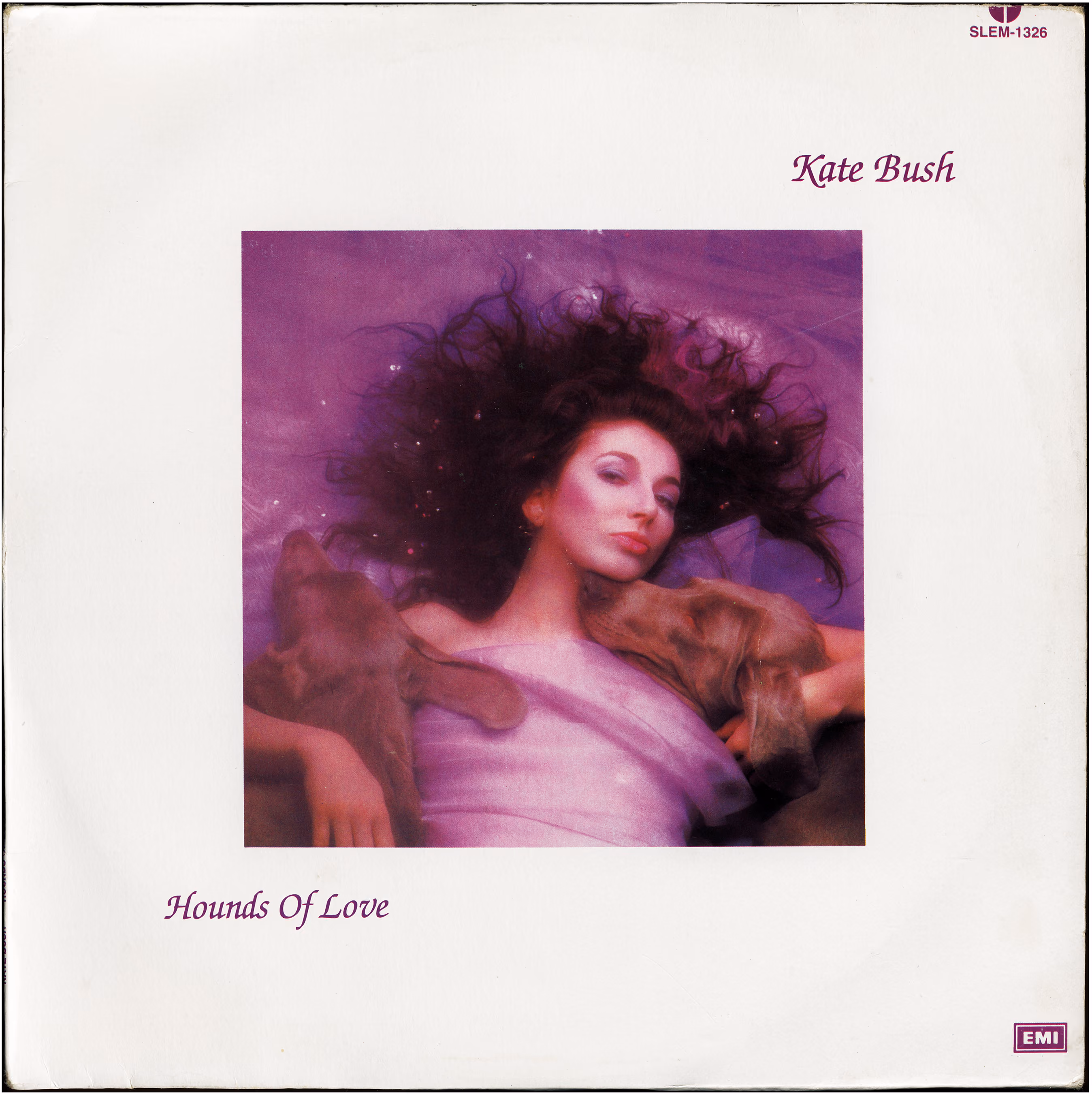 Hounds Of Love