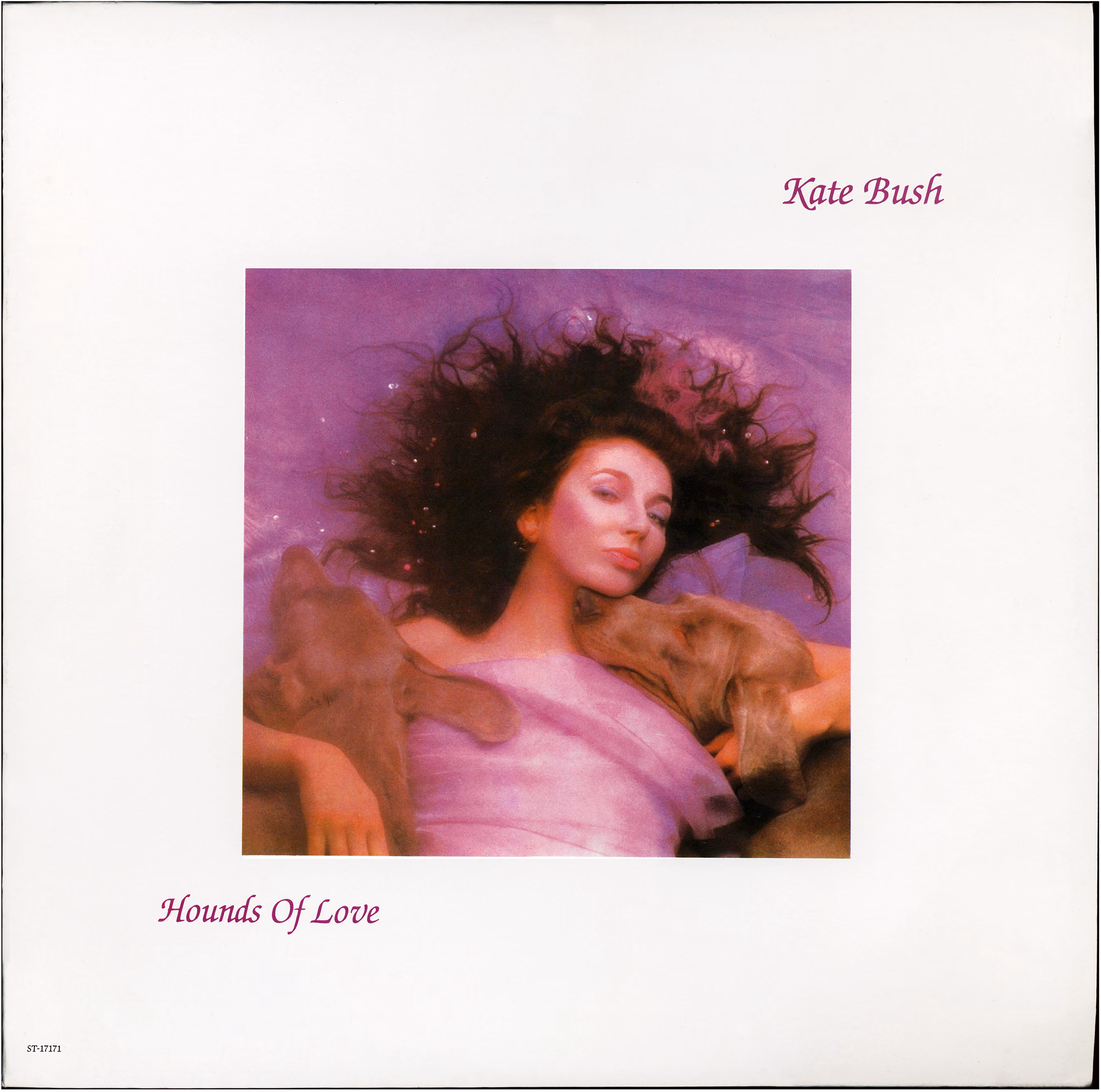 Hounds Of Love