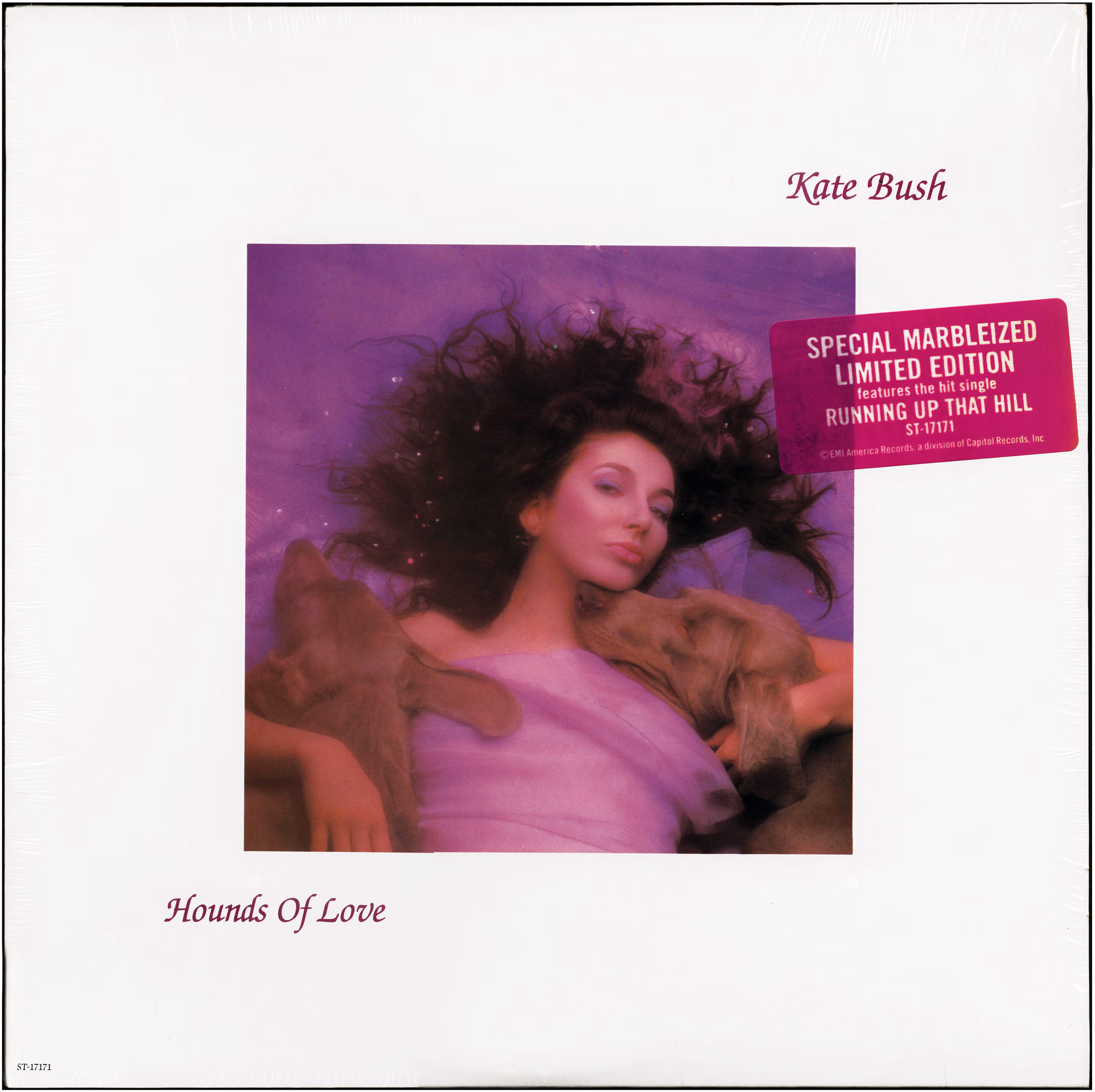 Hounds Of Love