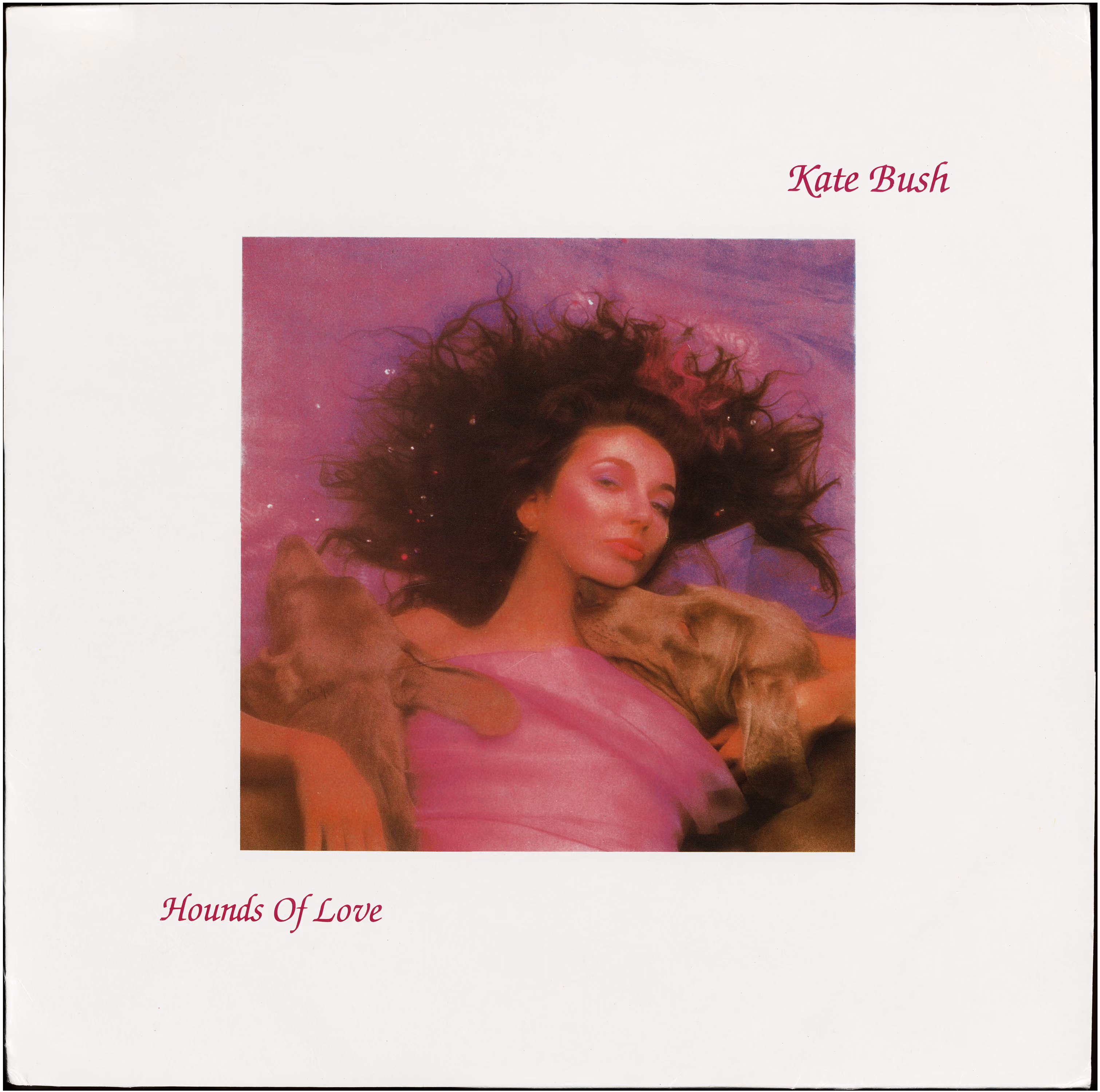 Hounds Of Love