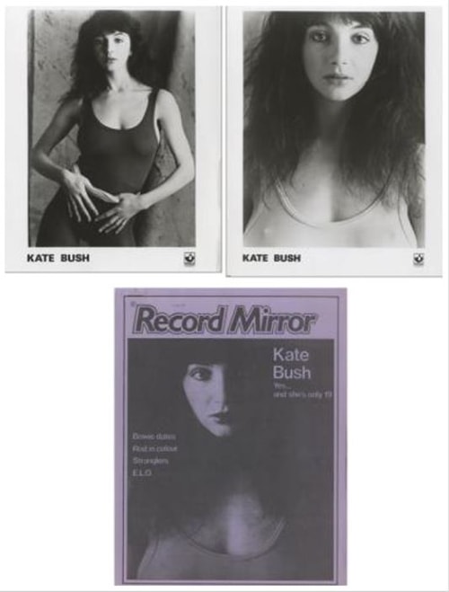 'The Kick Inside' Press Kit