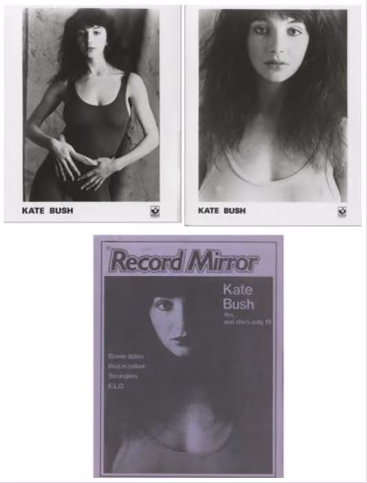 'The Kick Inside' Press Kit