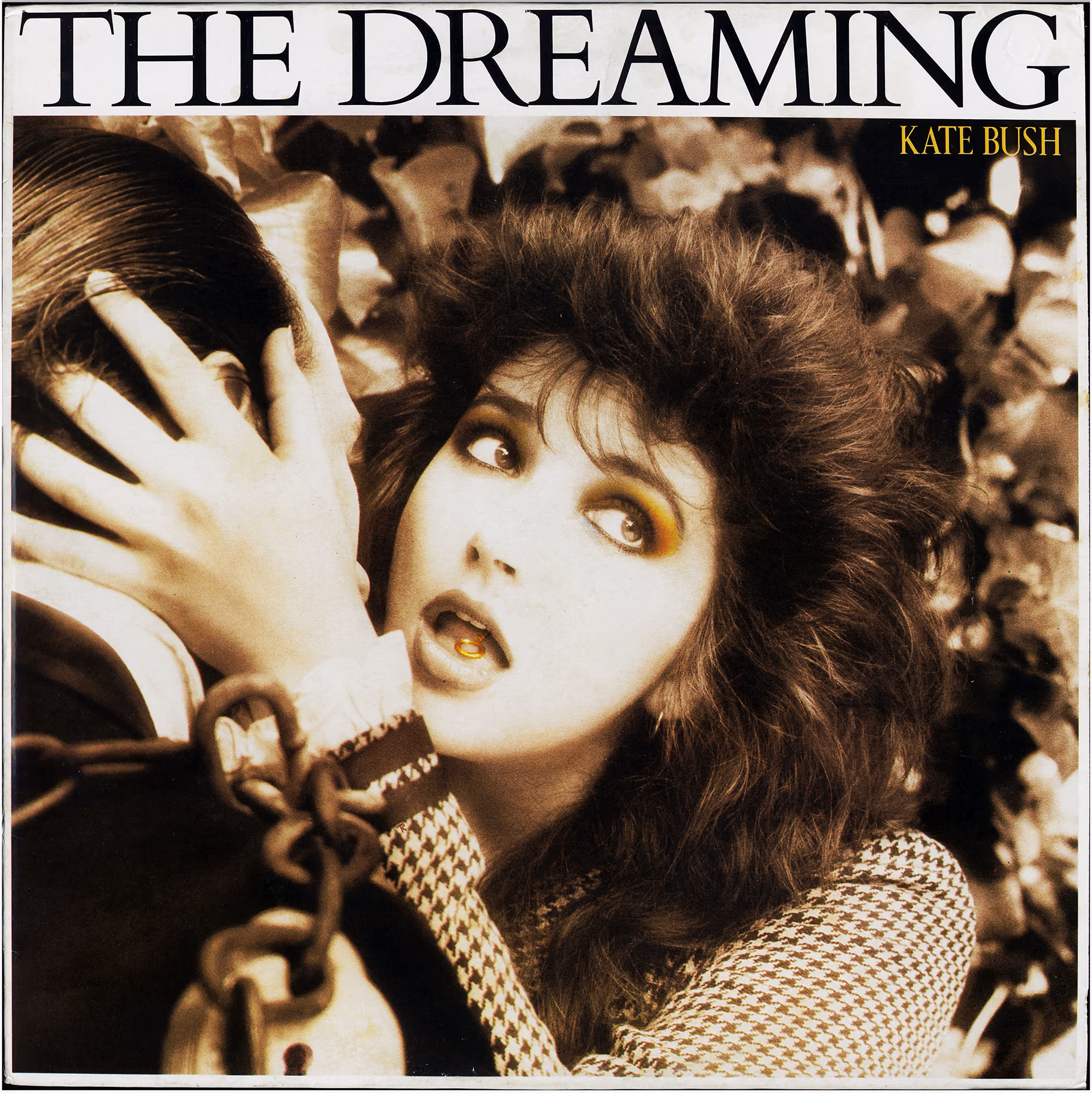 The Dreaming