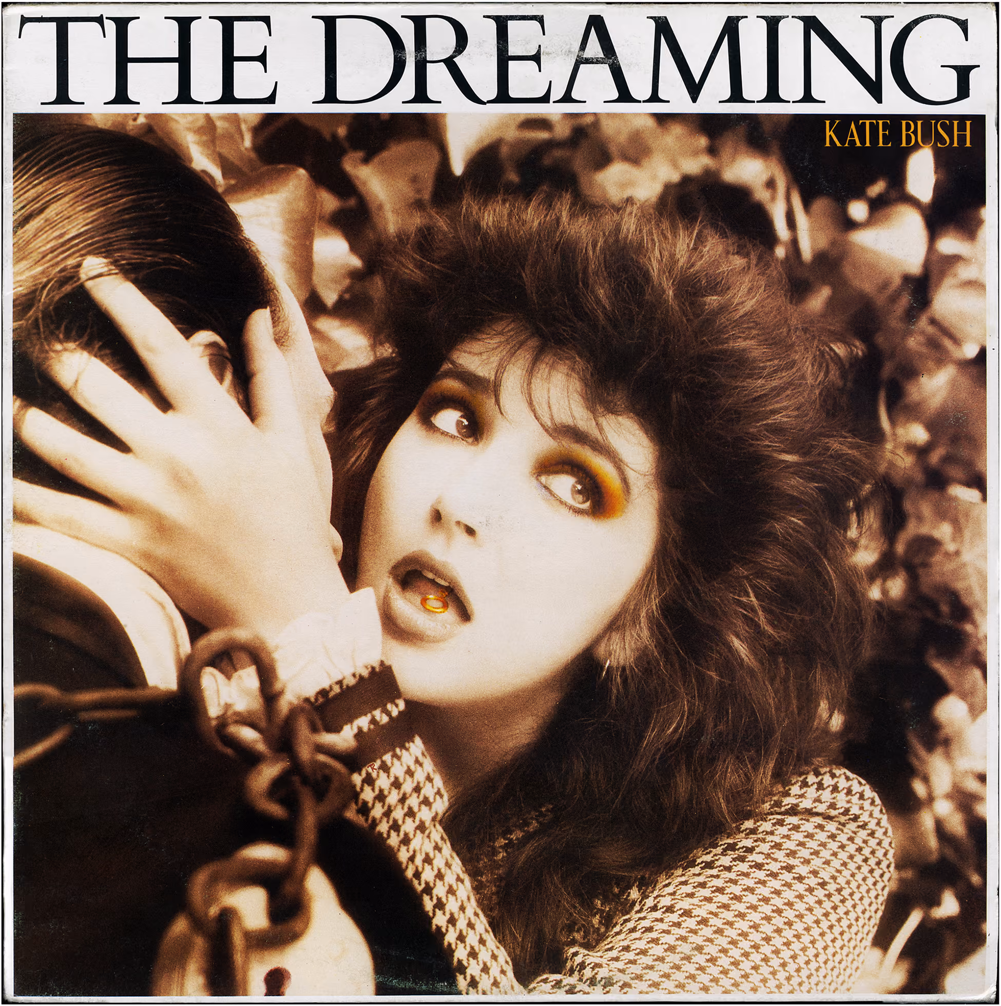 The Dreaming