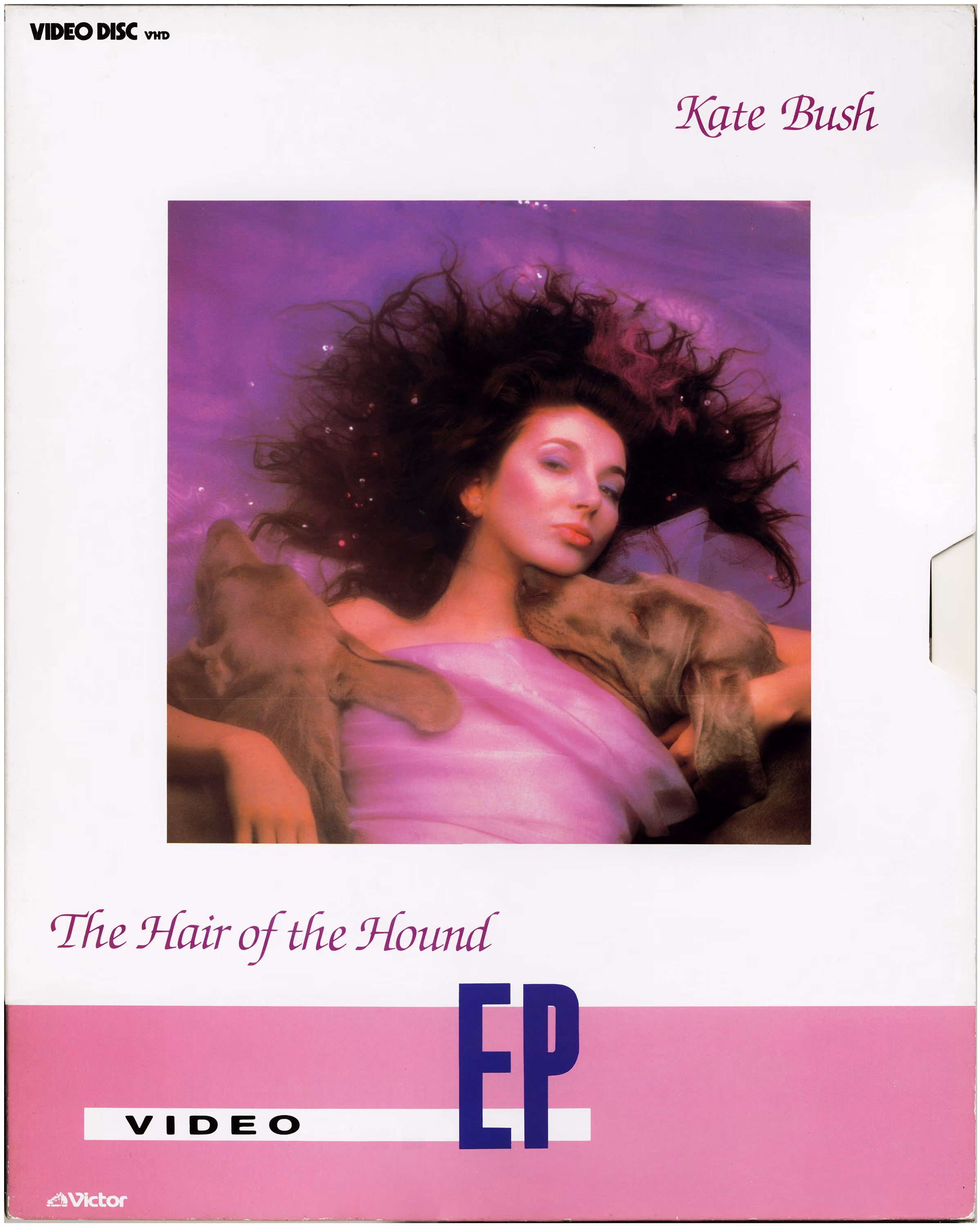 The Hair Of The Hound