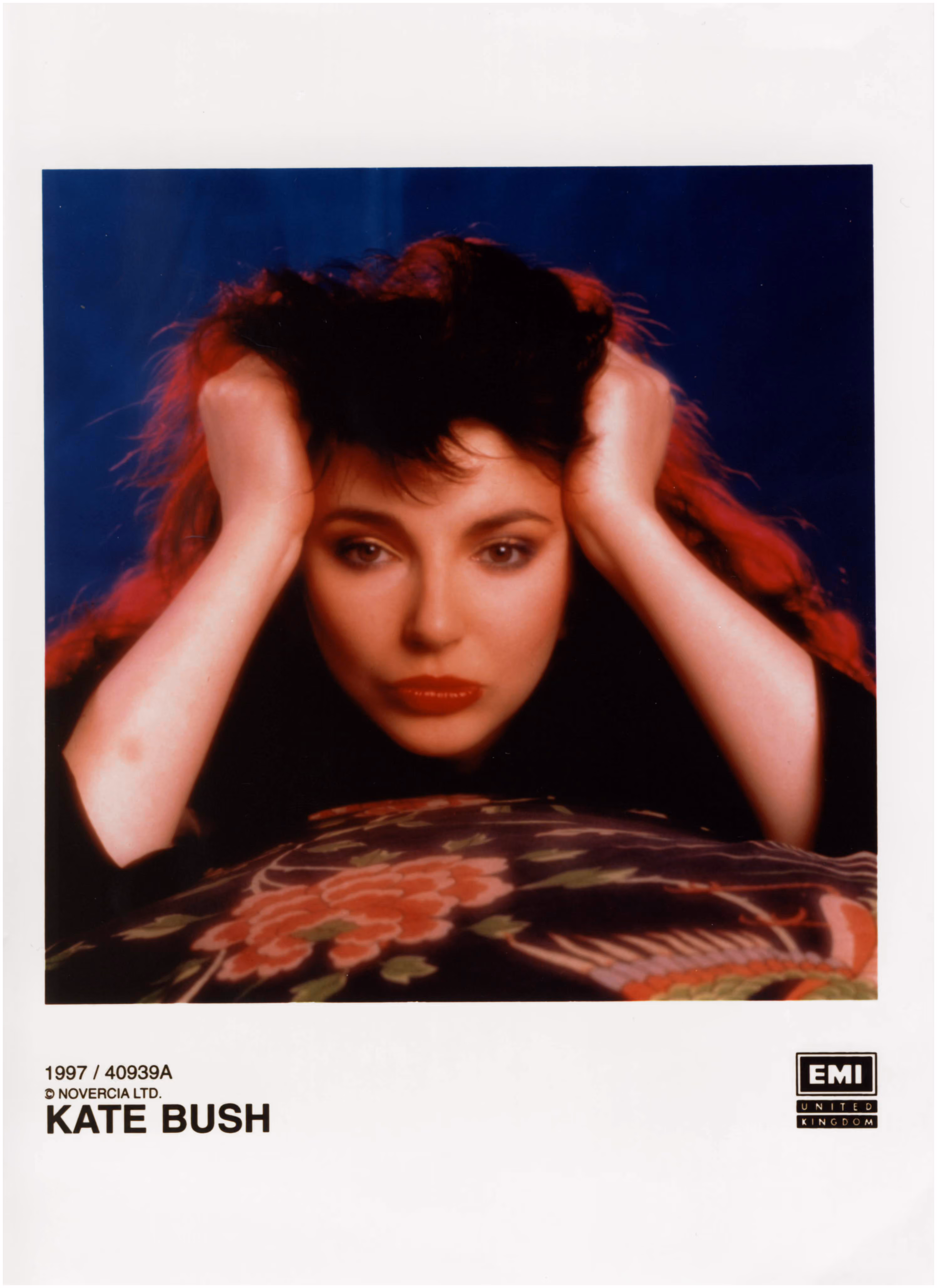 'Hounds Of Love' Photograph