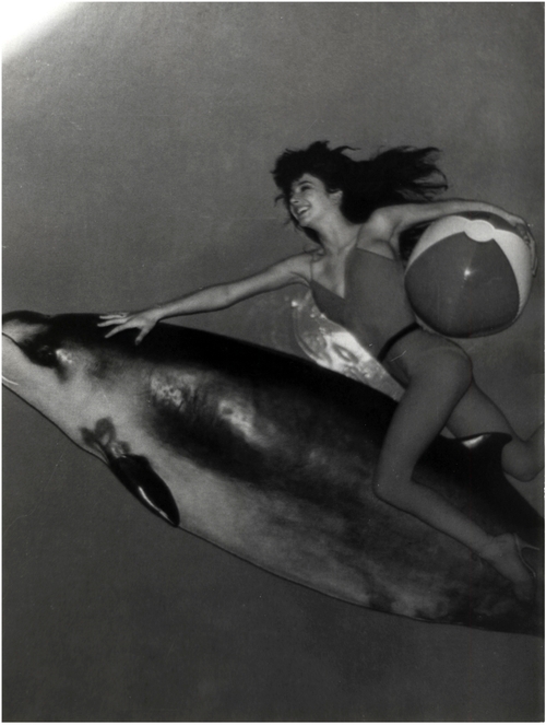 Riding A Dolphin Photograph