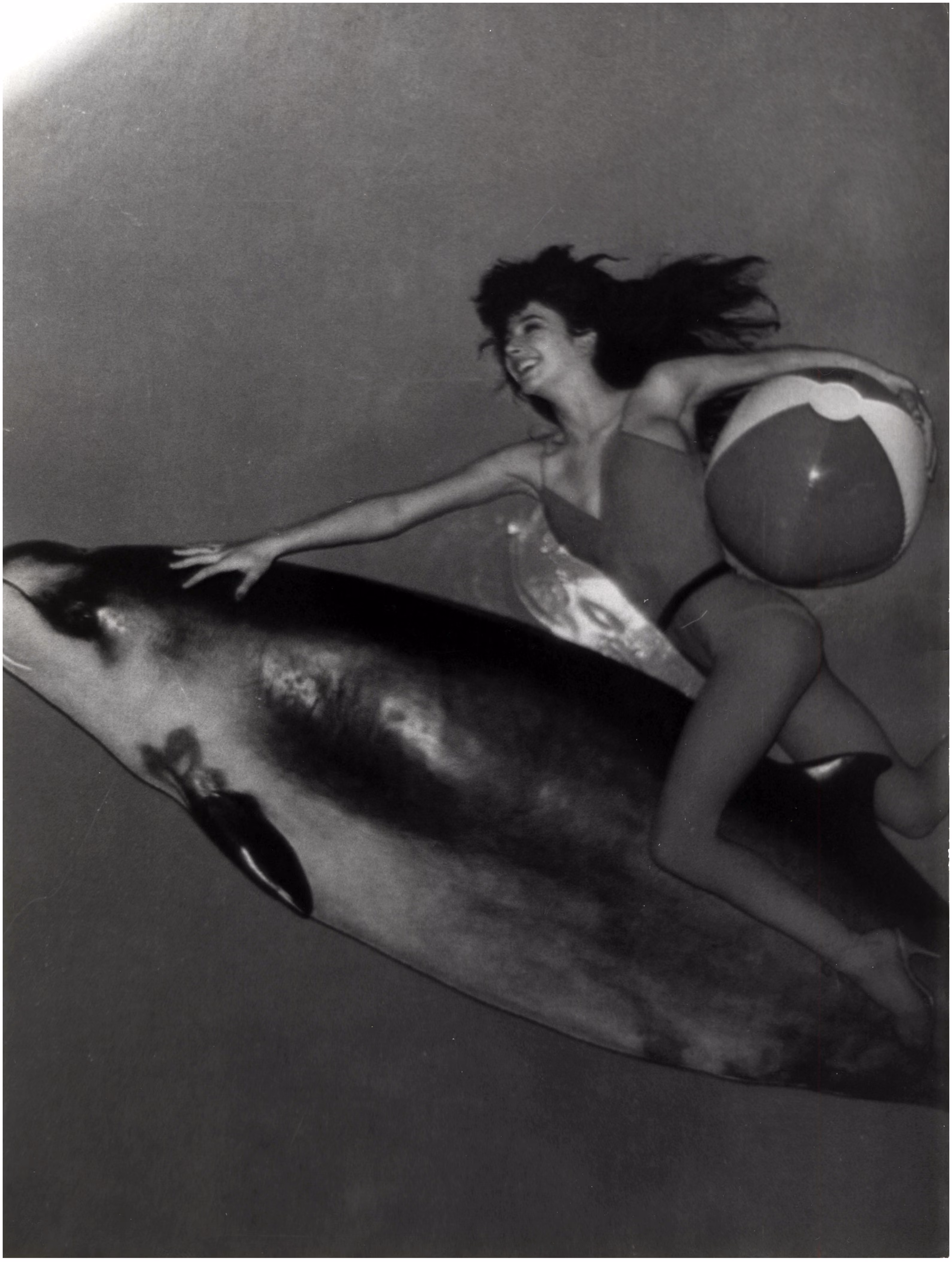 Riding A Dolphin Photograph