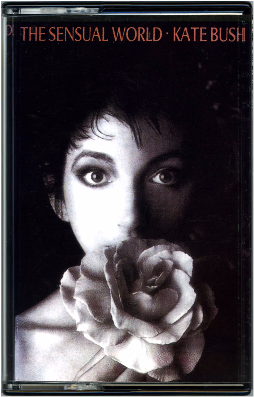 The Sensual World