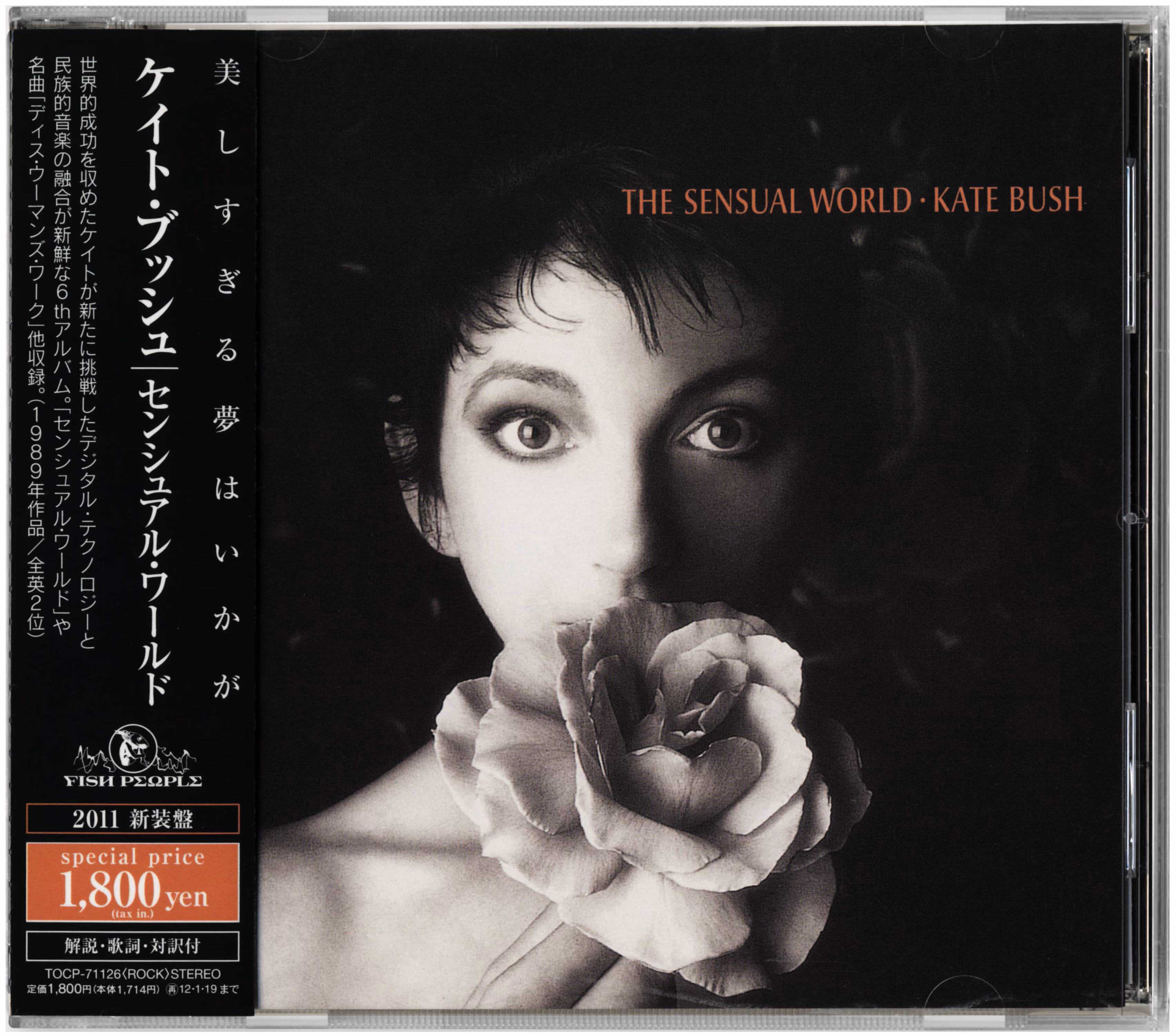 The Sensual World