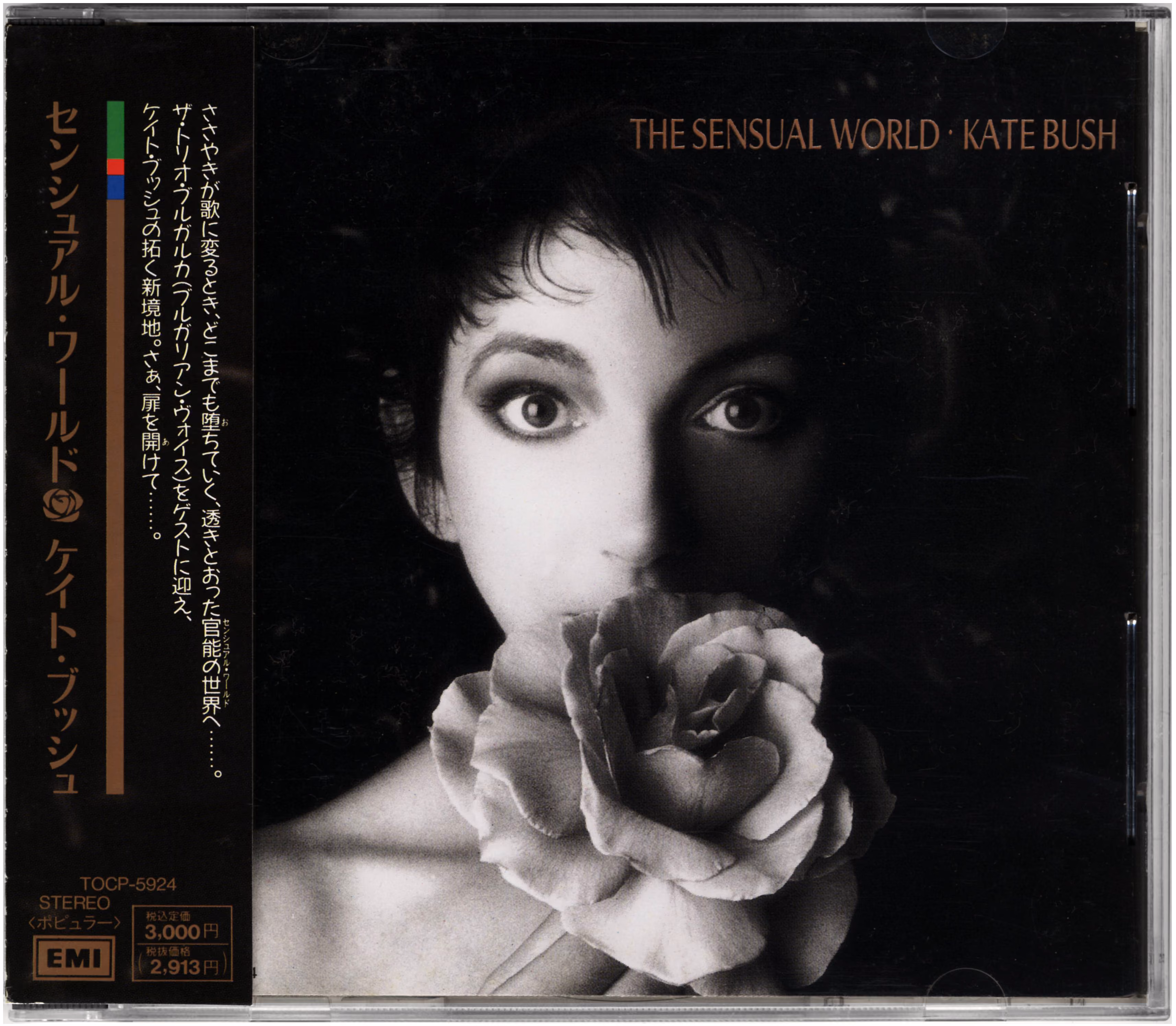 The Sensual World