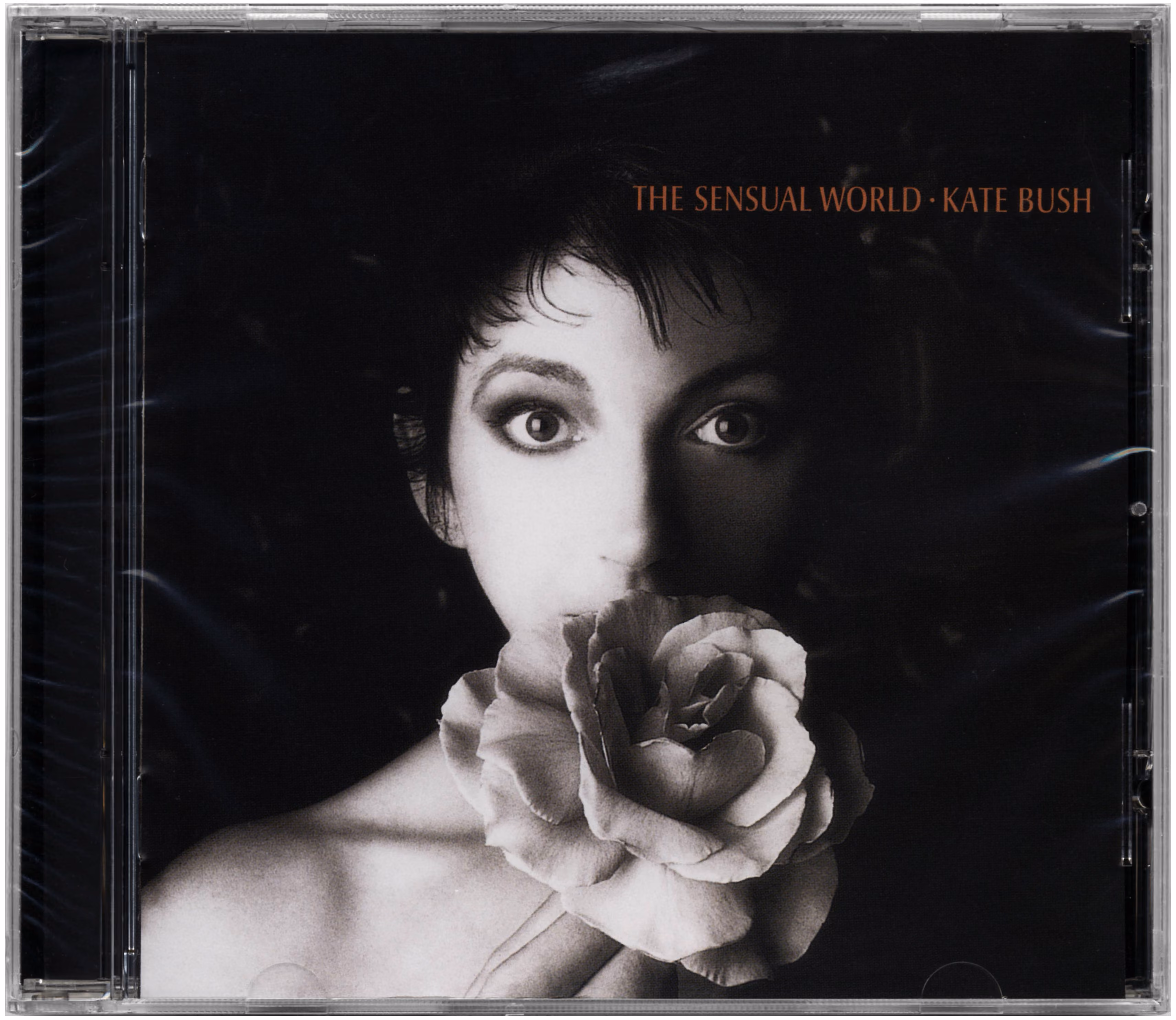 The Sensual World