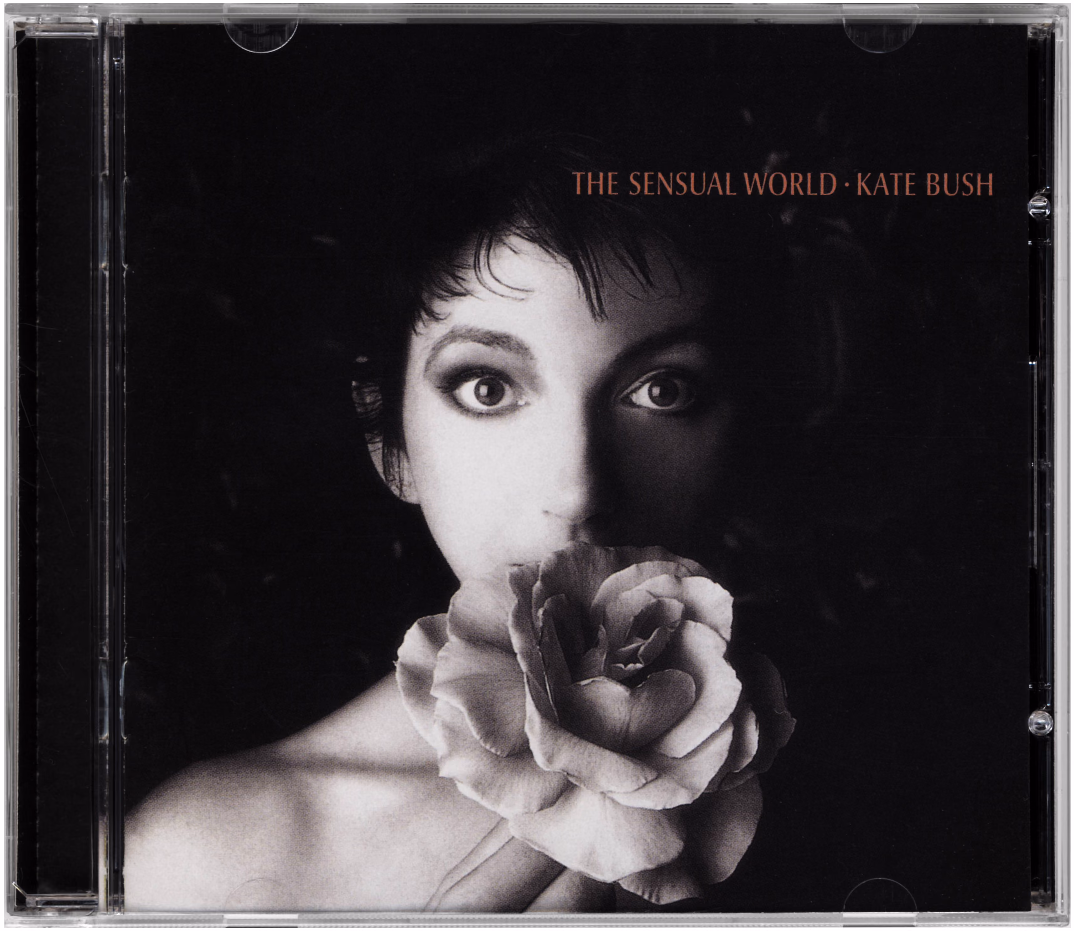 The Sensual World
