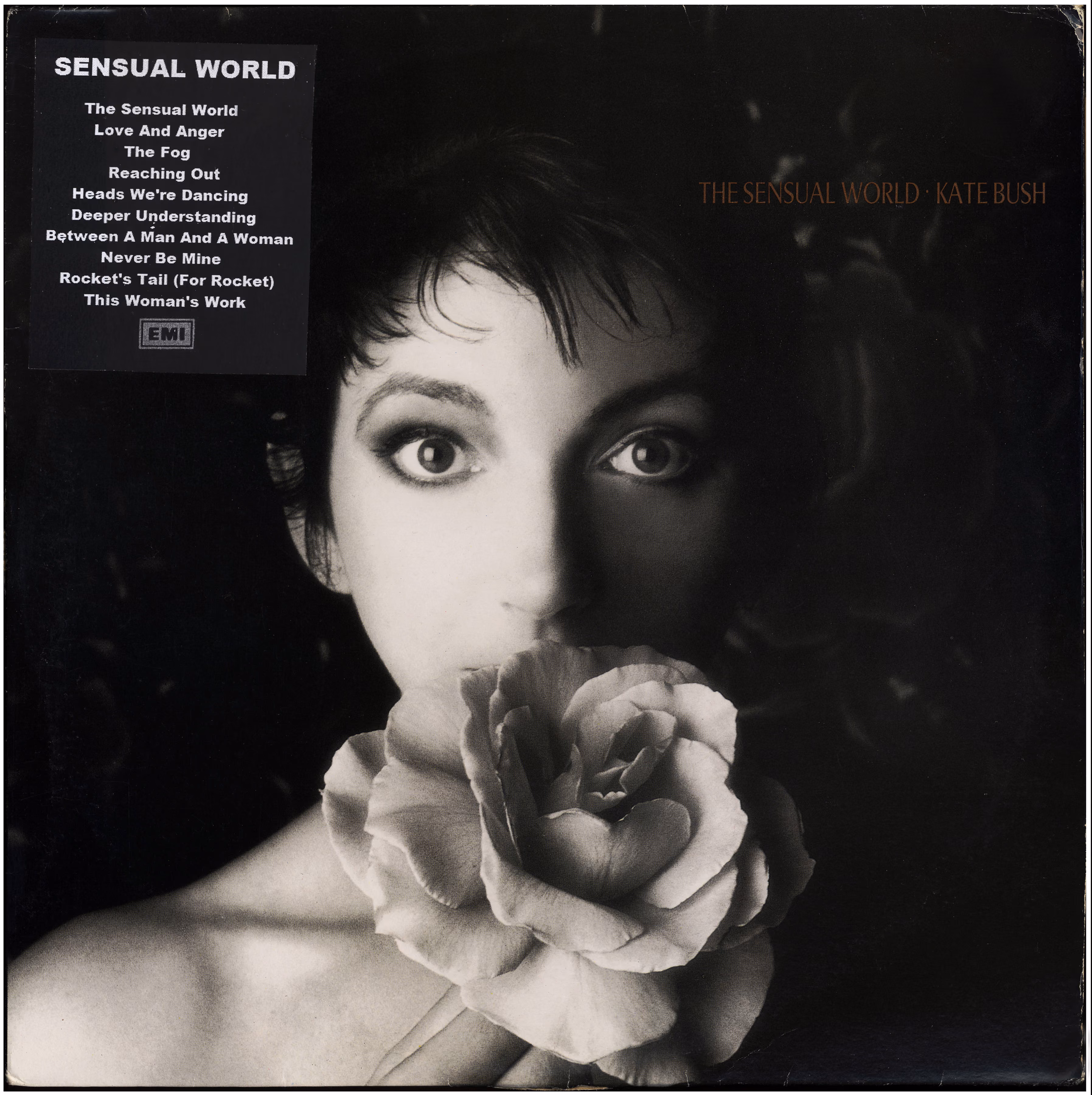 The Sensual World