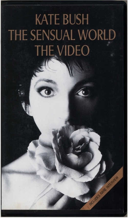 The Sensual World - The Video