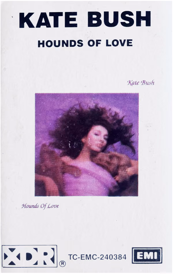 Hounds Of Love
