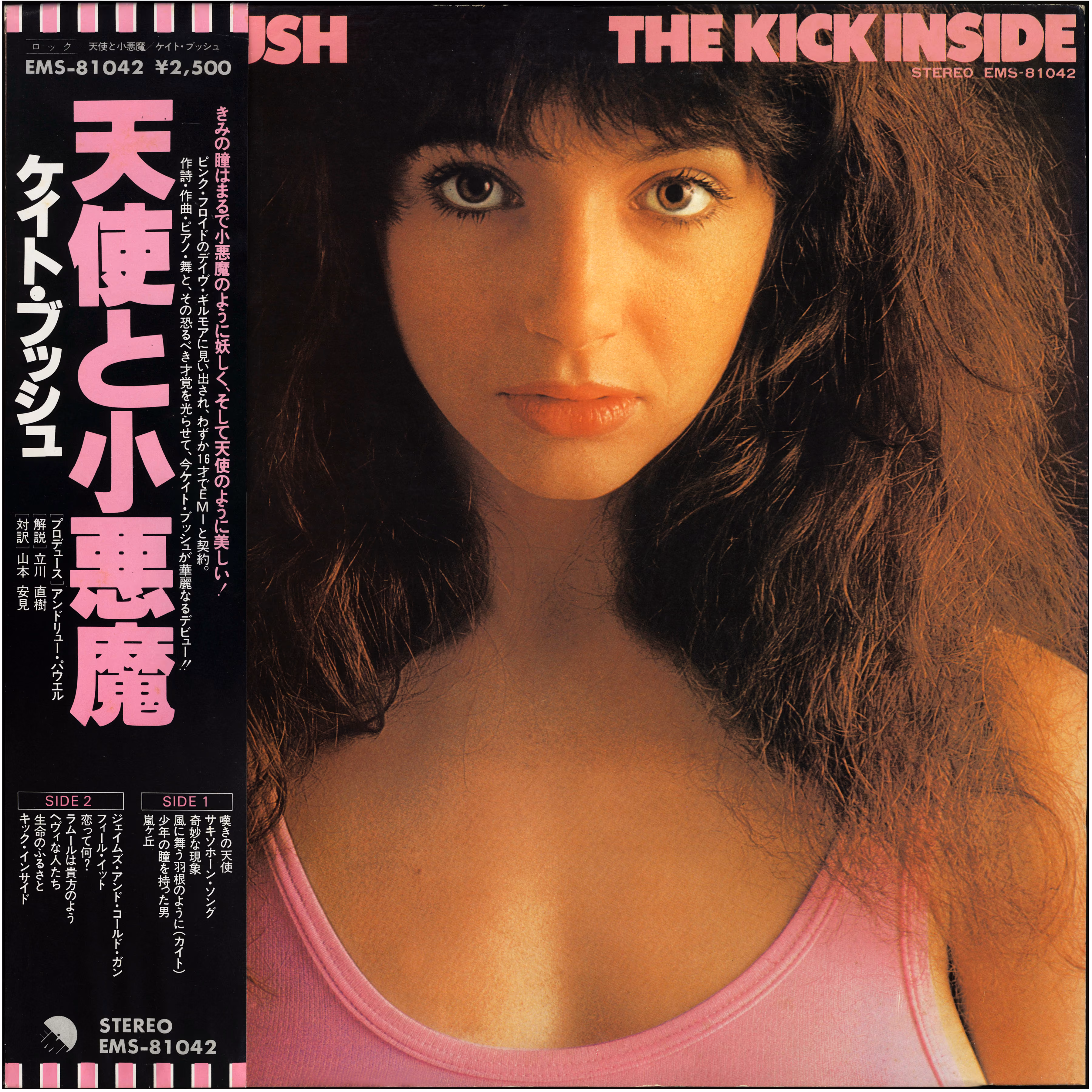 The Kick Inside