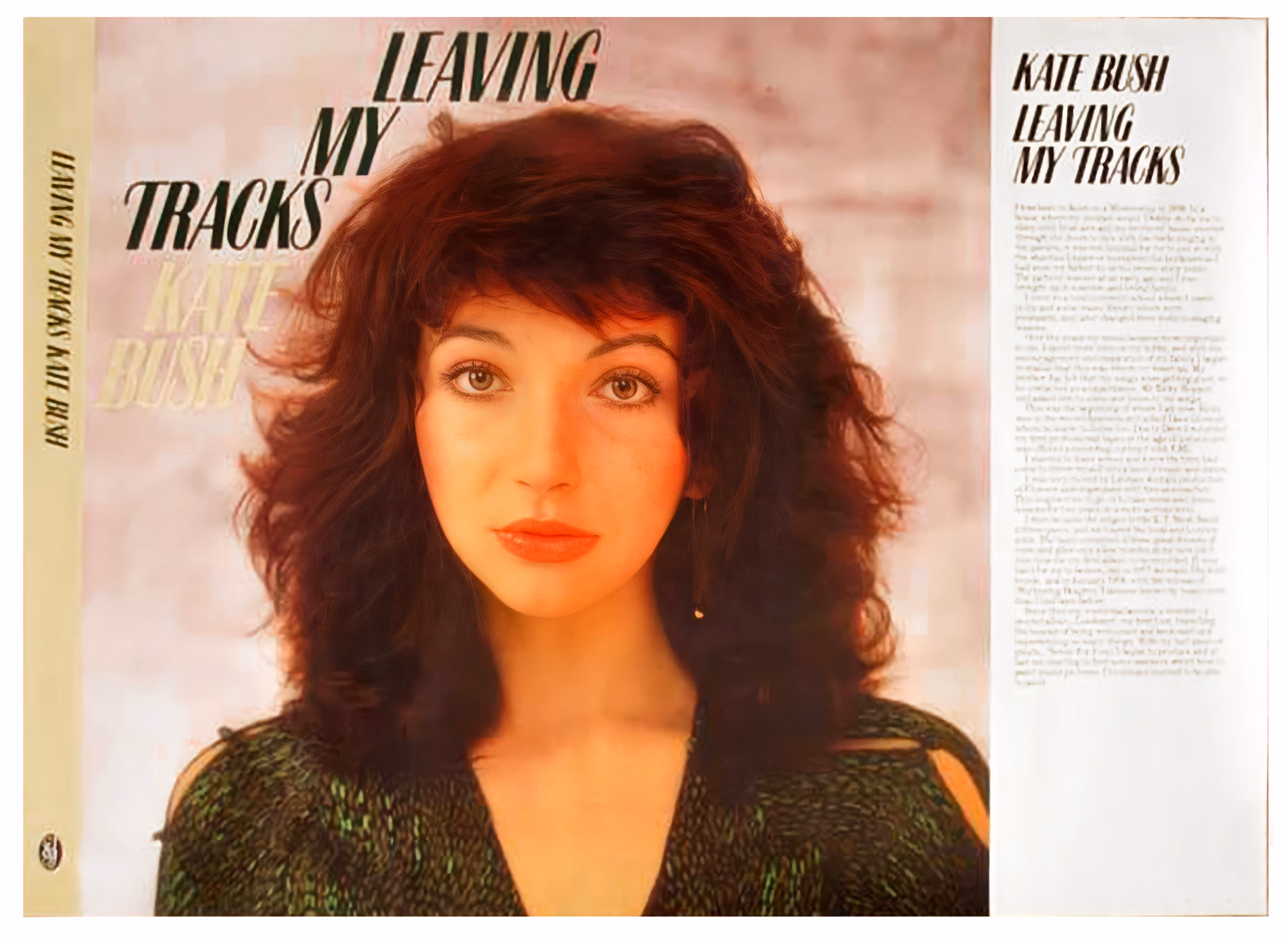 'Leaving My Tracks' Book Dust Jacket