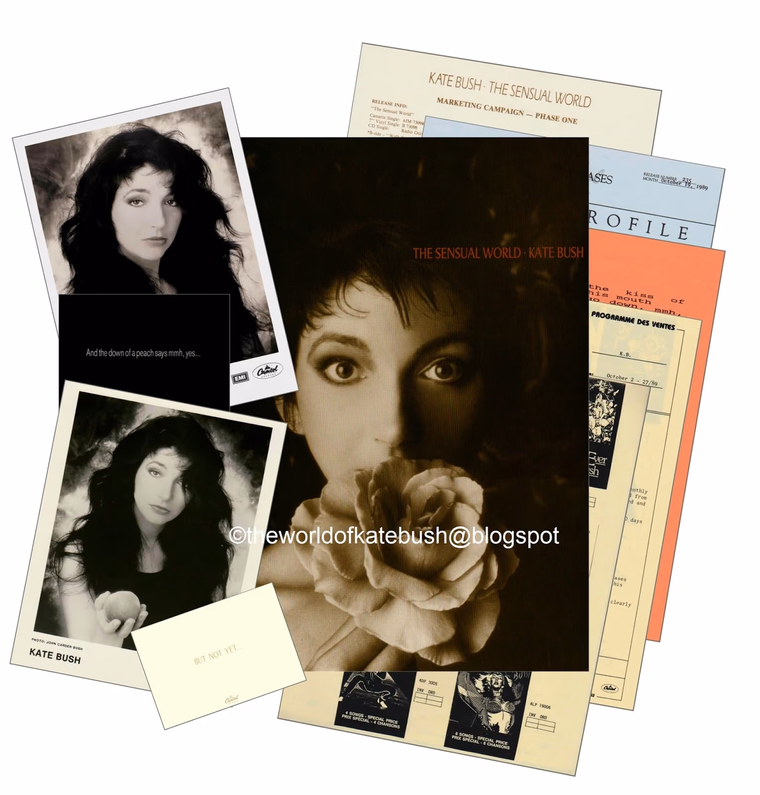 'The Sensual World' Album Press Kit