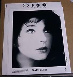 'The Sensual World' Album Press Kit