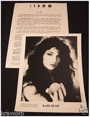 'The Sensual World' Album Press Kit