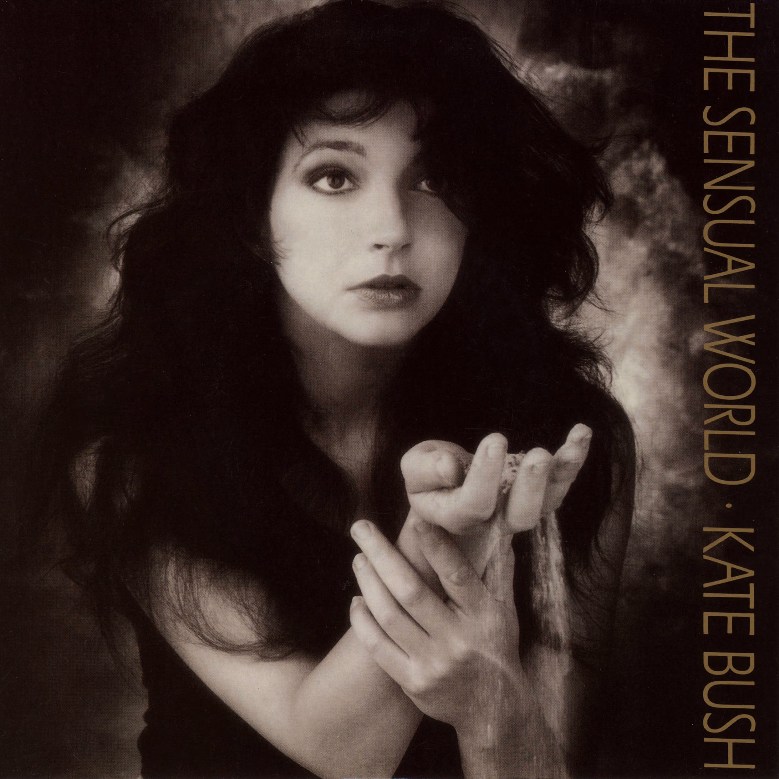 The Sensual World
