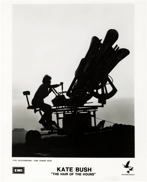 'The Hair Of The Hound' Photograph