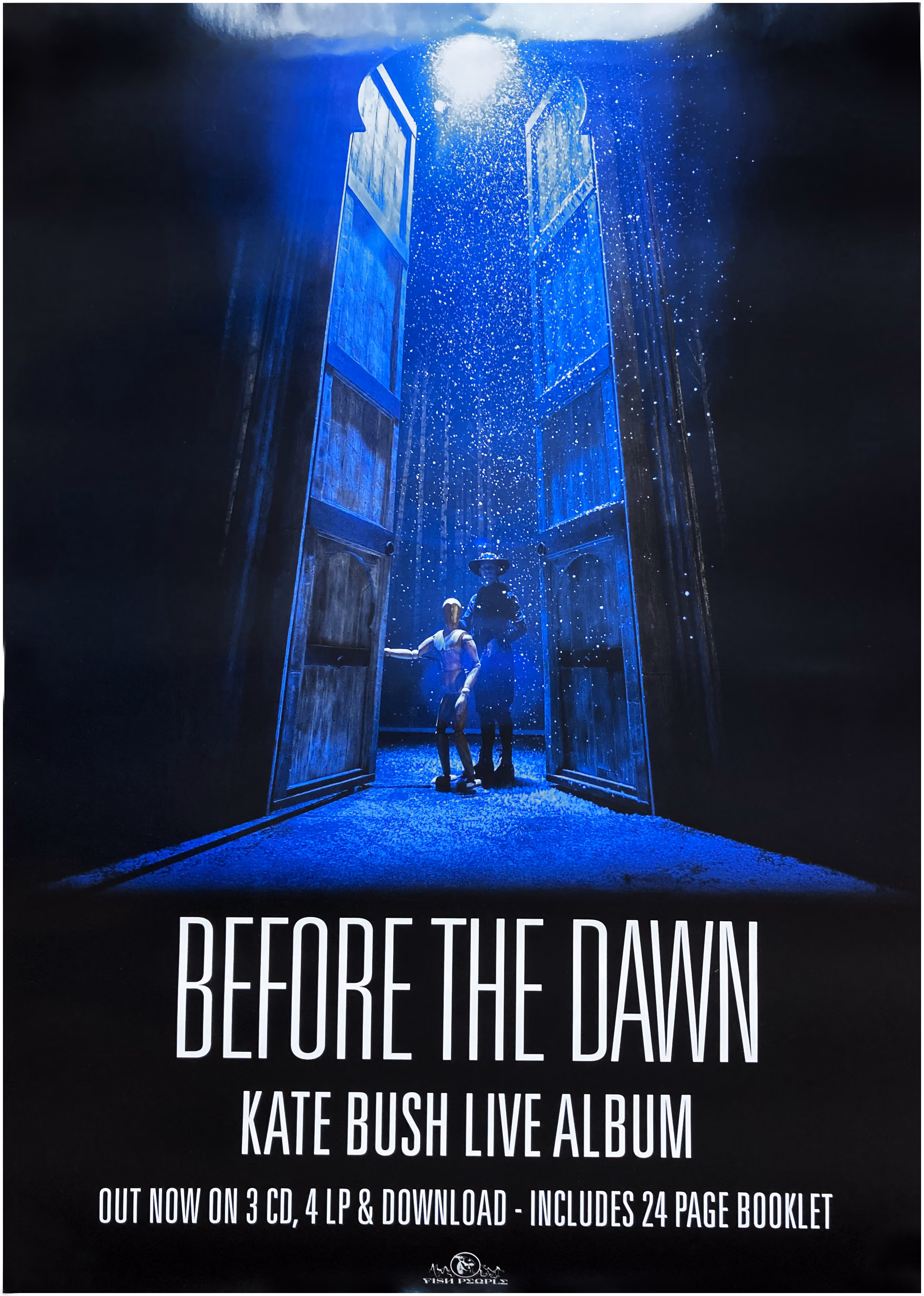 'Before The Dawn' Album Poster