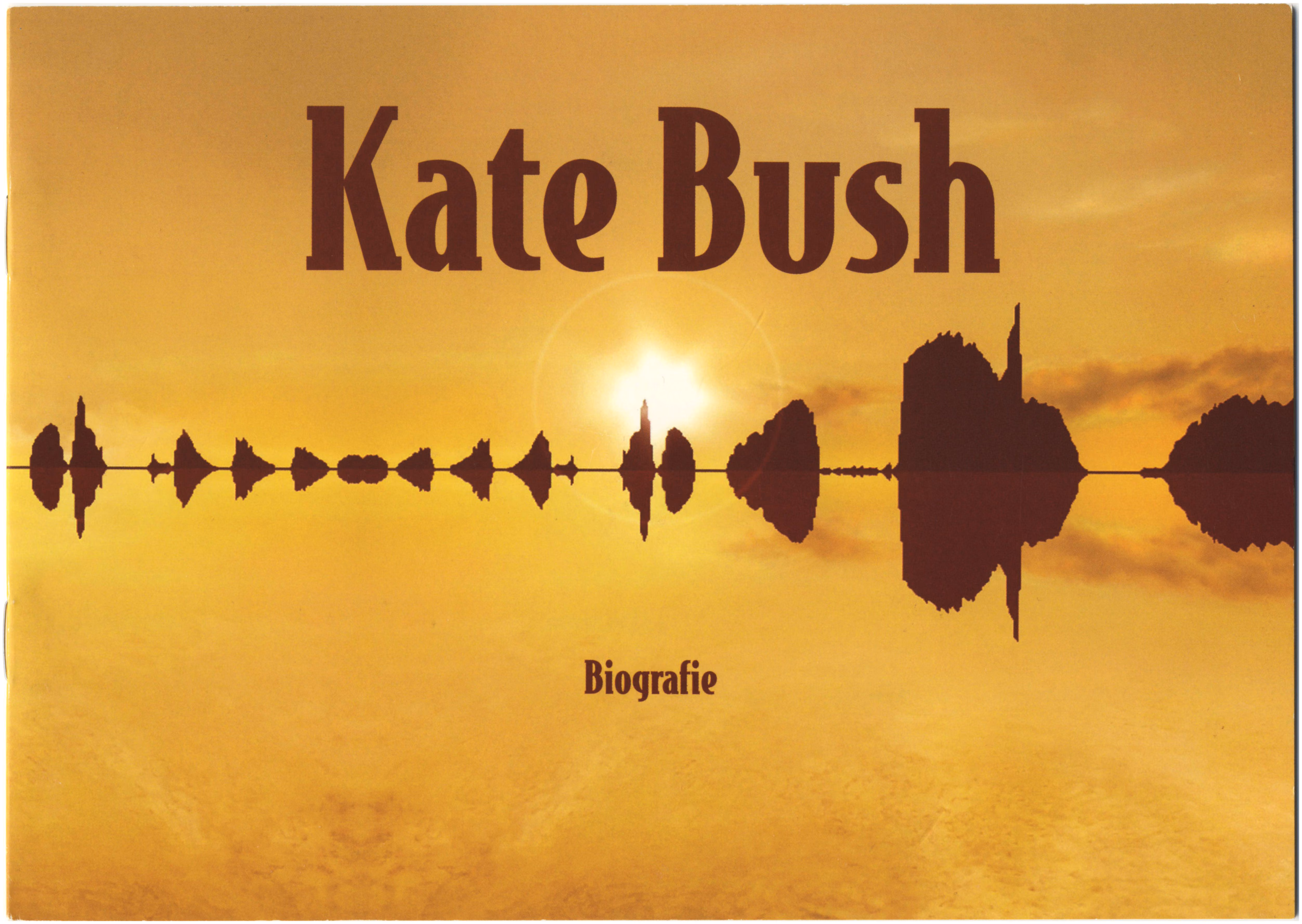 'Aerial' Biography Booklet