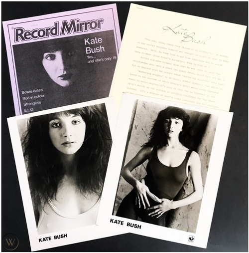 'The Kick Inside' Press Kit