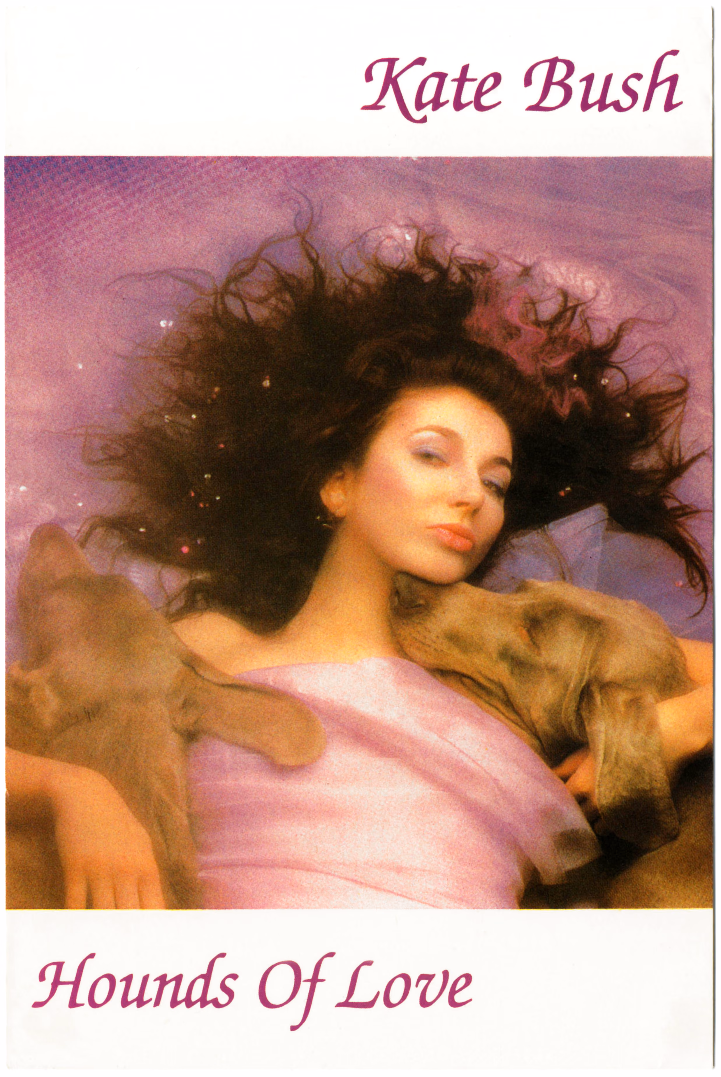 'Hounds Of Love' Album Postcard