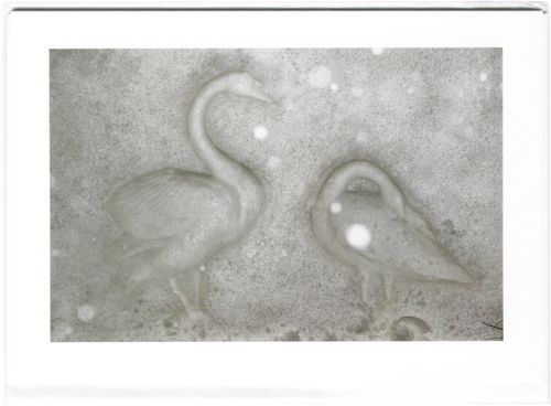 'Holiday Greetings Card'