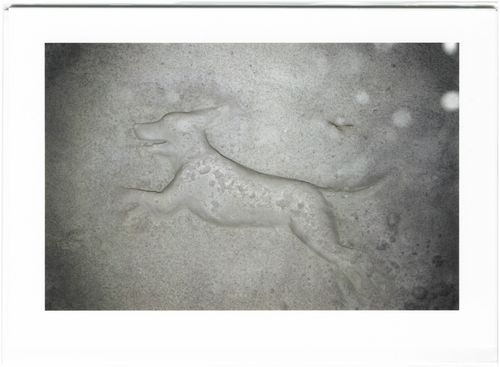 'Holiday Greetings Card'