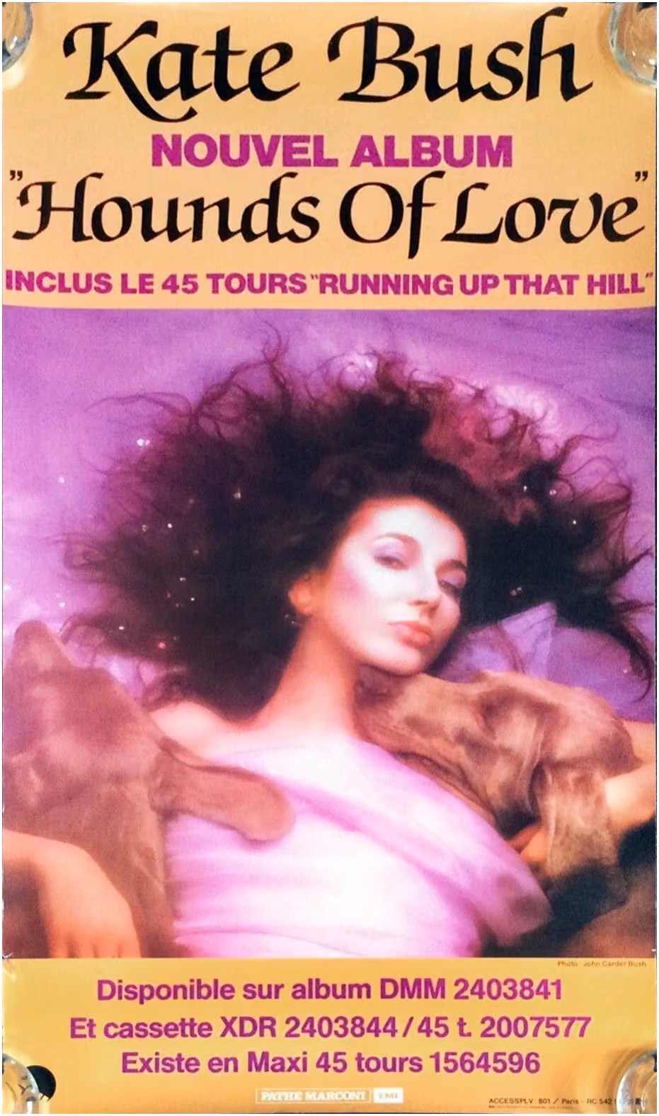 'Hounds Of Love' Album Poster