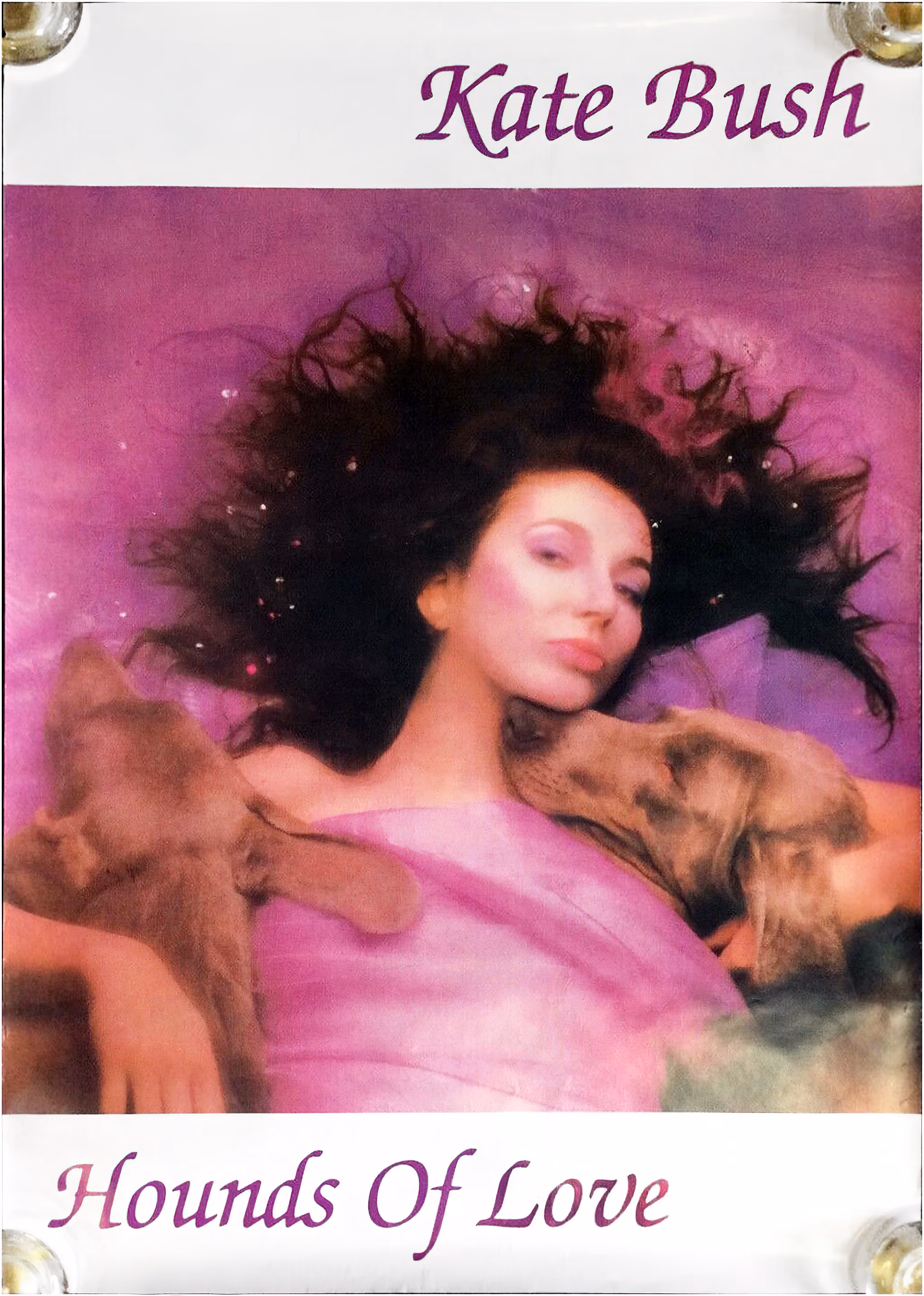 'Hounds Of Love' Album Poster