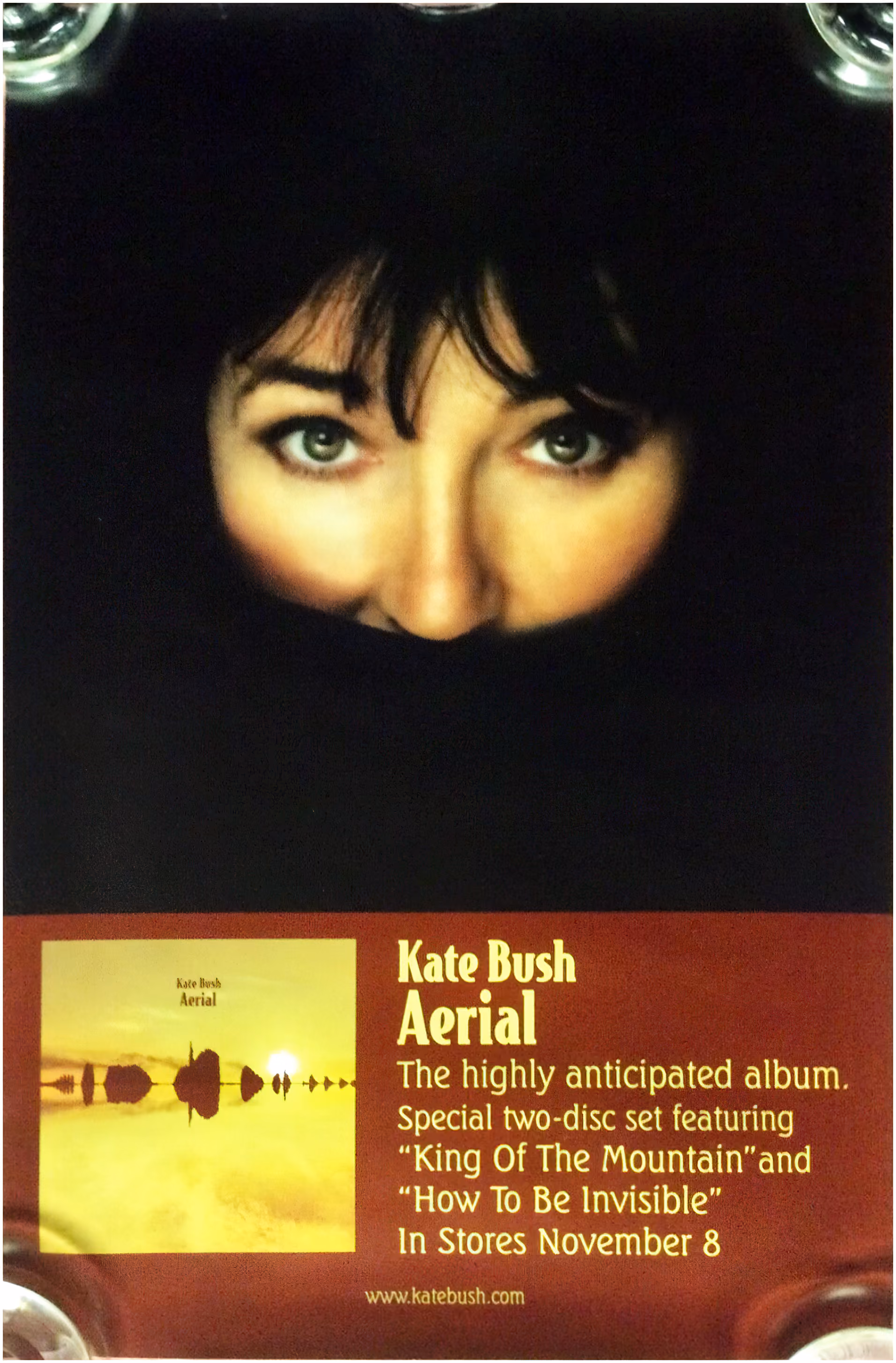 'Aerial' Poster