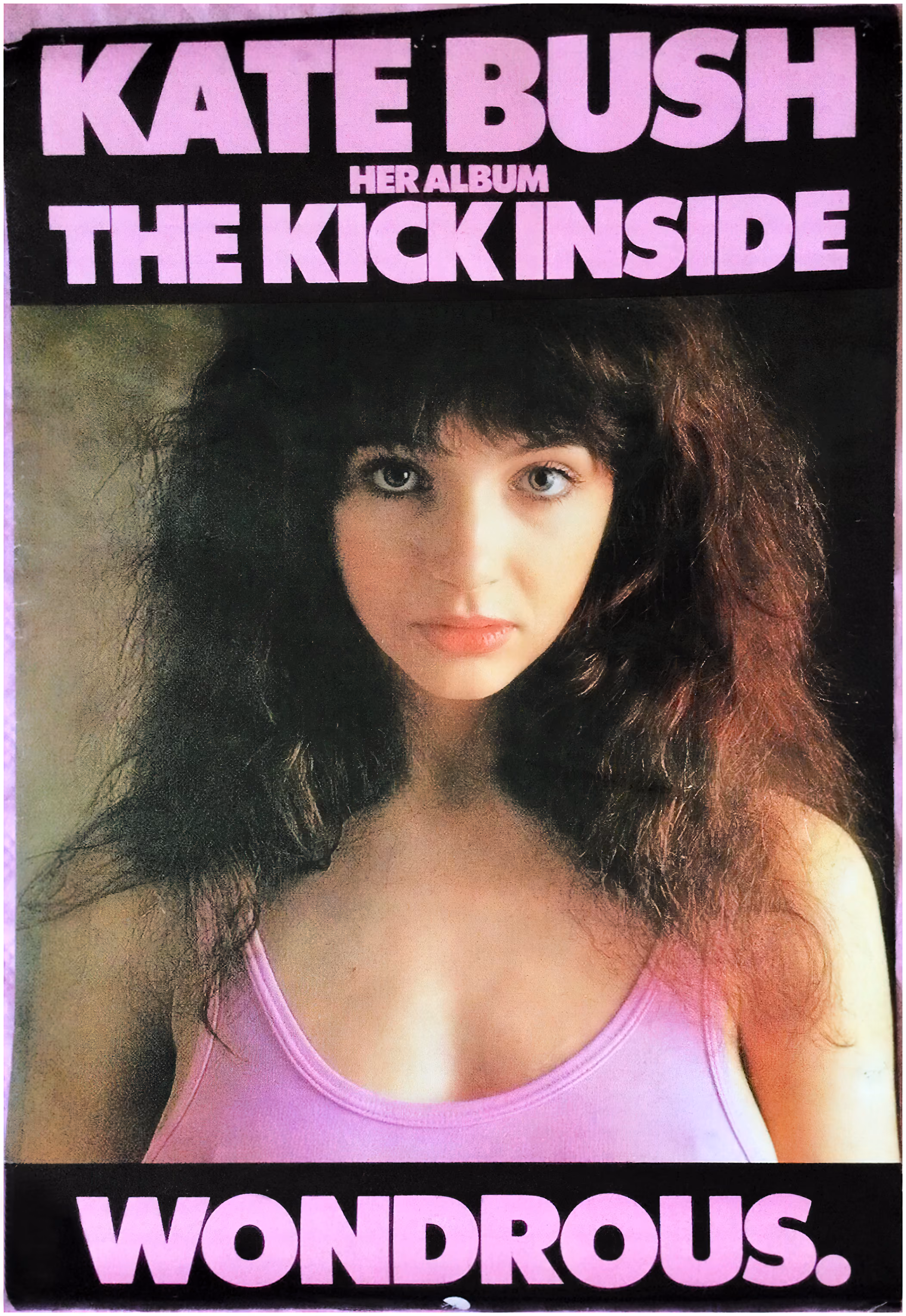 'The Kick Inside' Poster