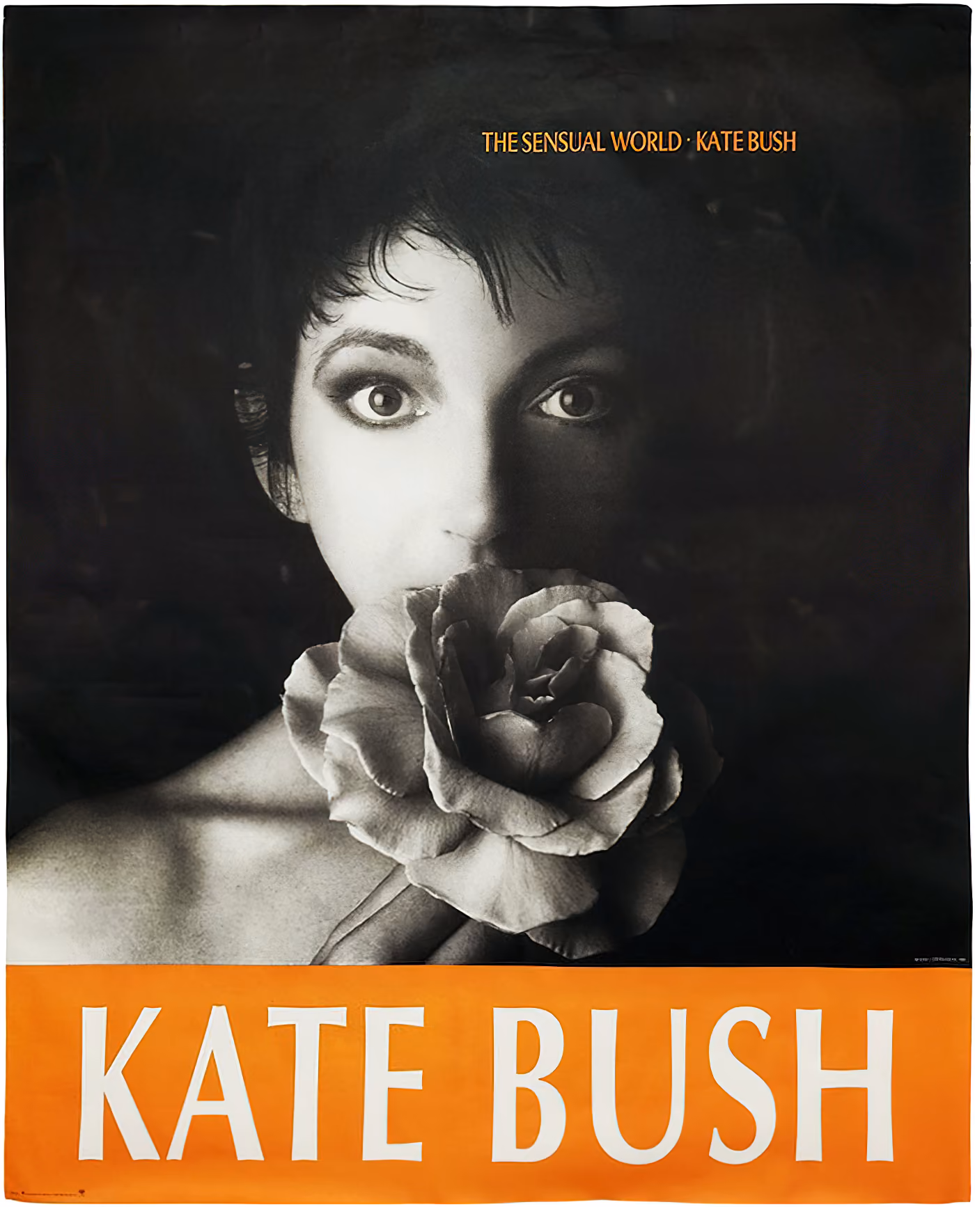 'The Sensual World' Album Poster