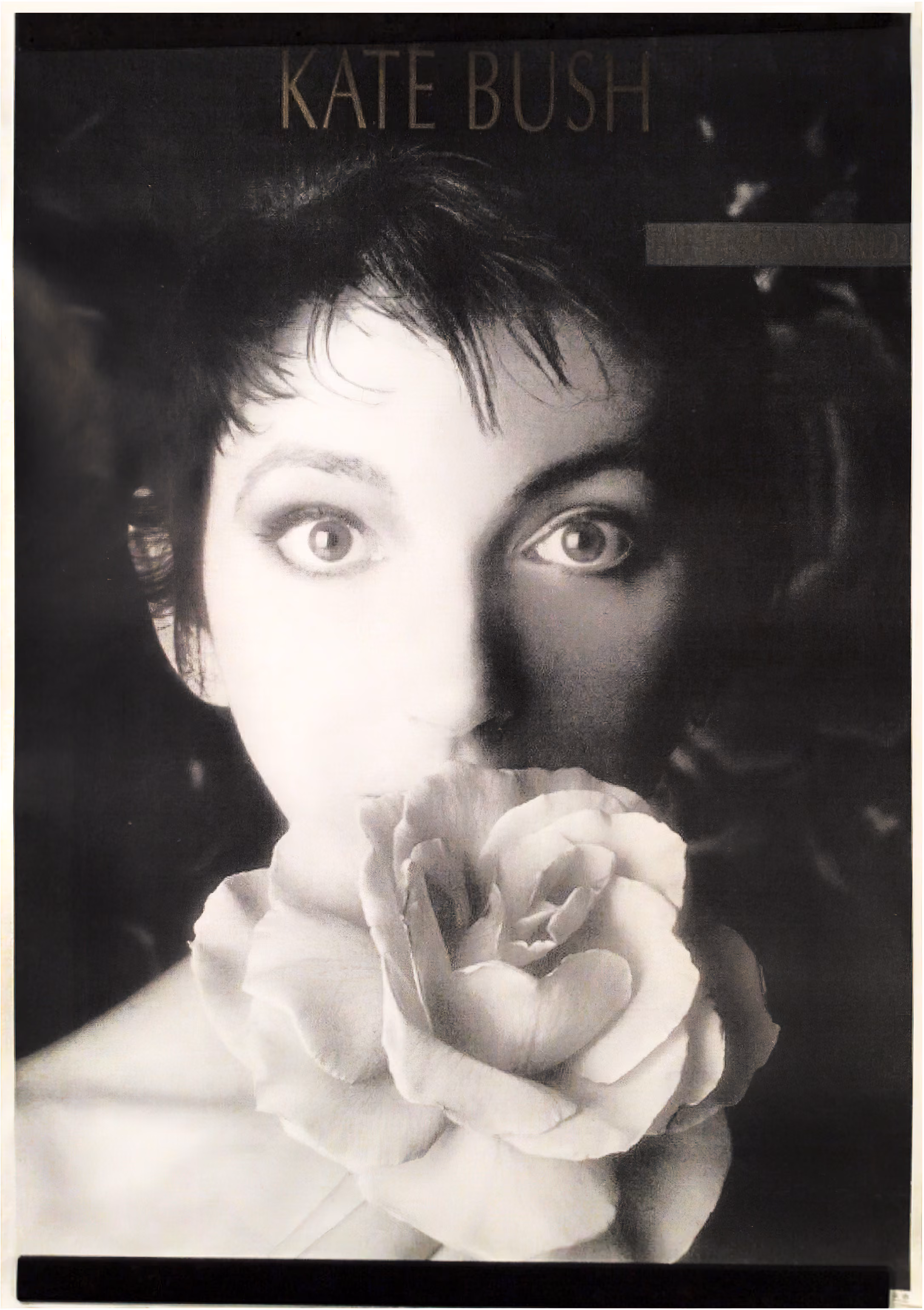 'The Sensual World' Album Poster