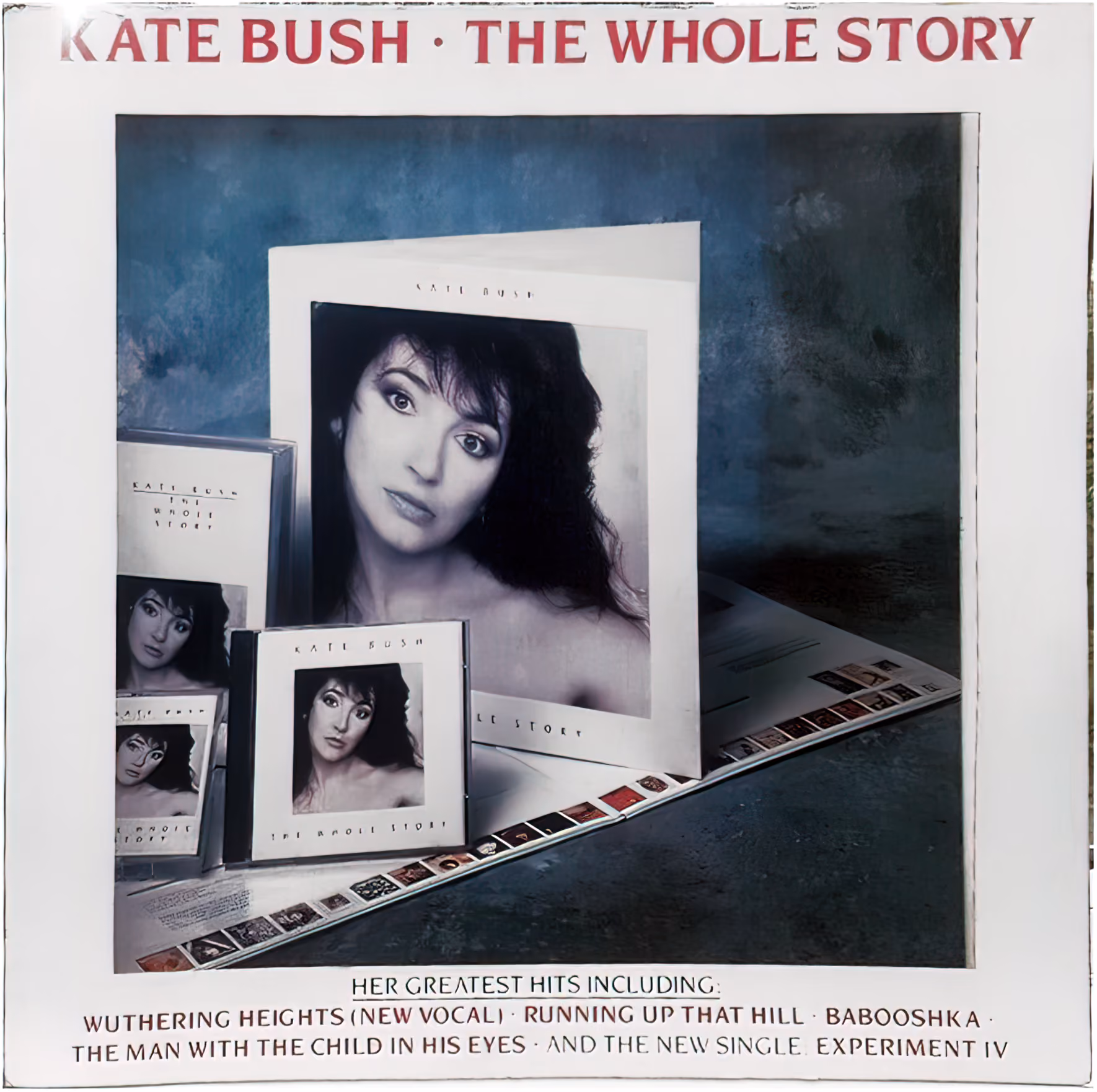'The Whole Story' Counter Display