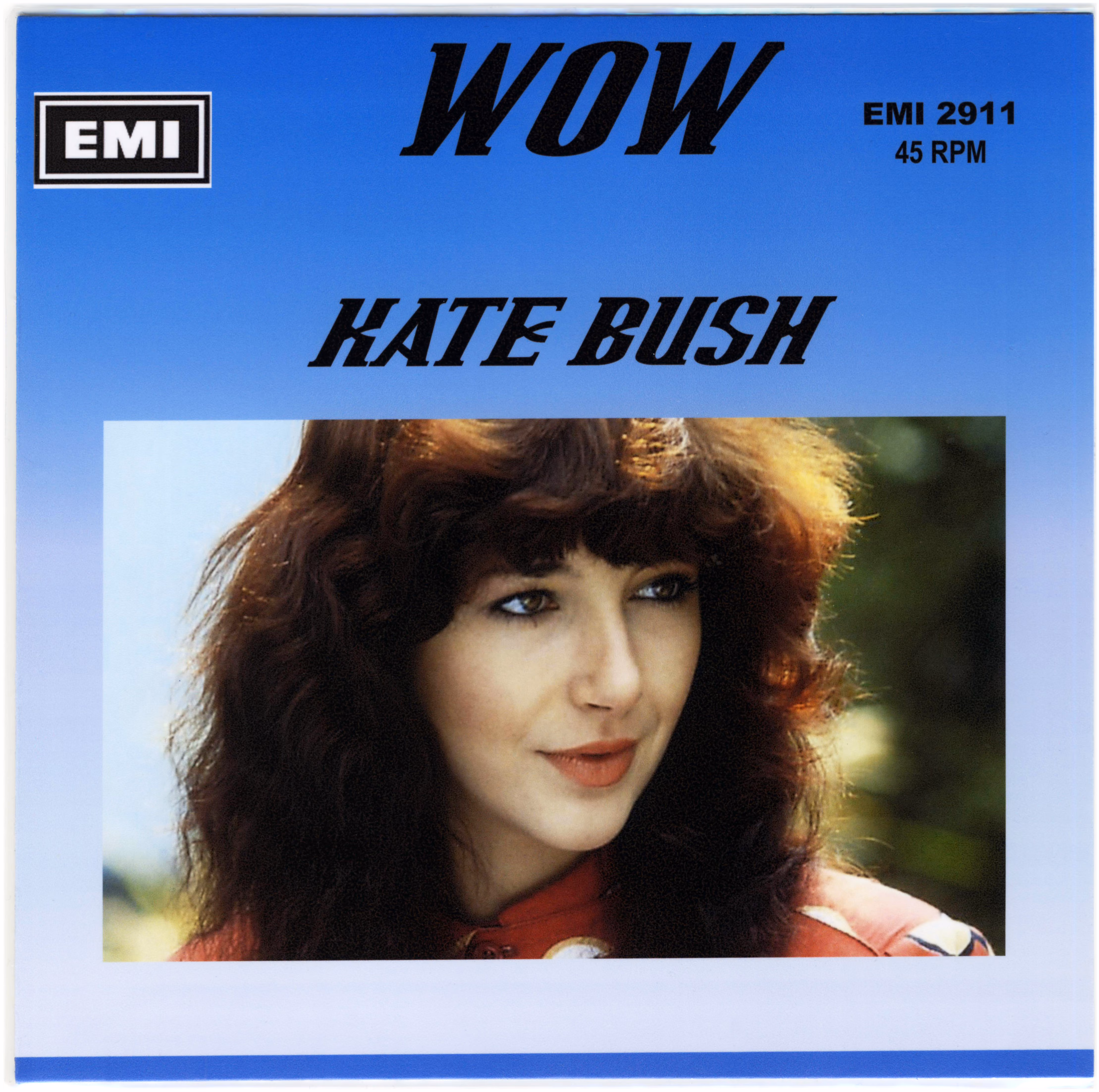 'Wow' Unofficial Vinyl Sleeve
