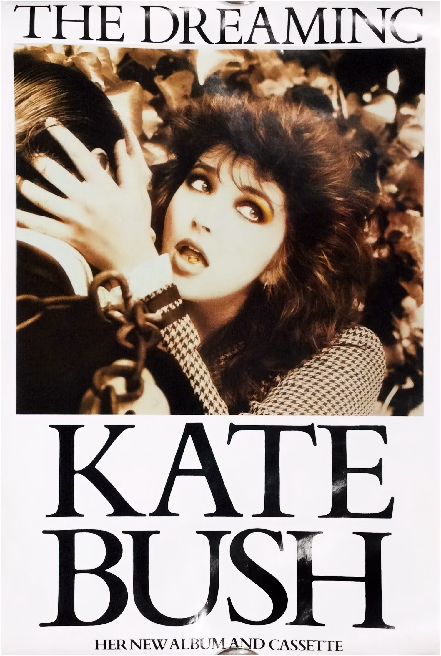 'The Dreaming' Album Poster