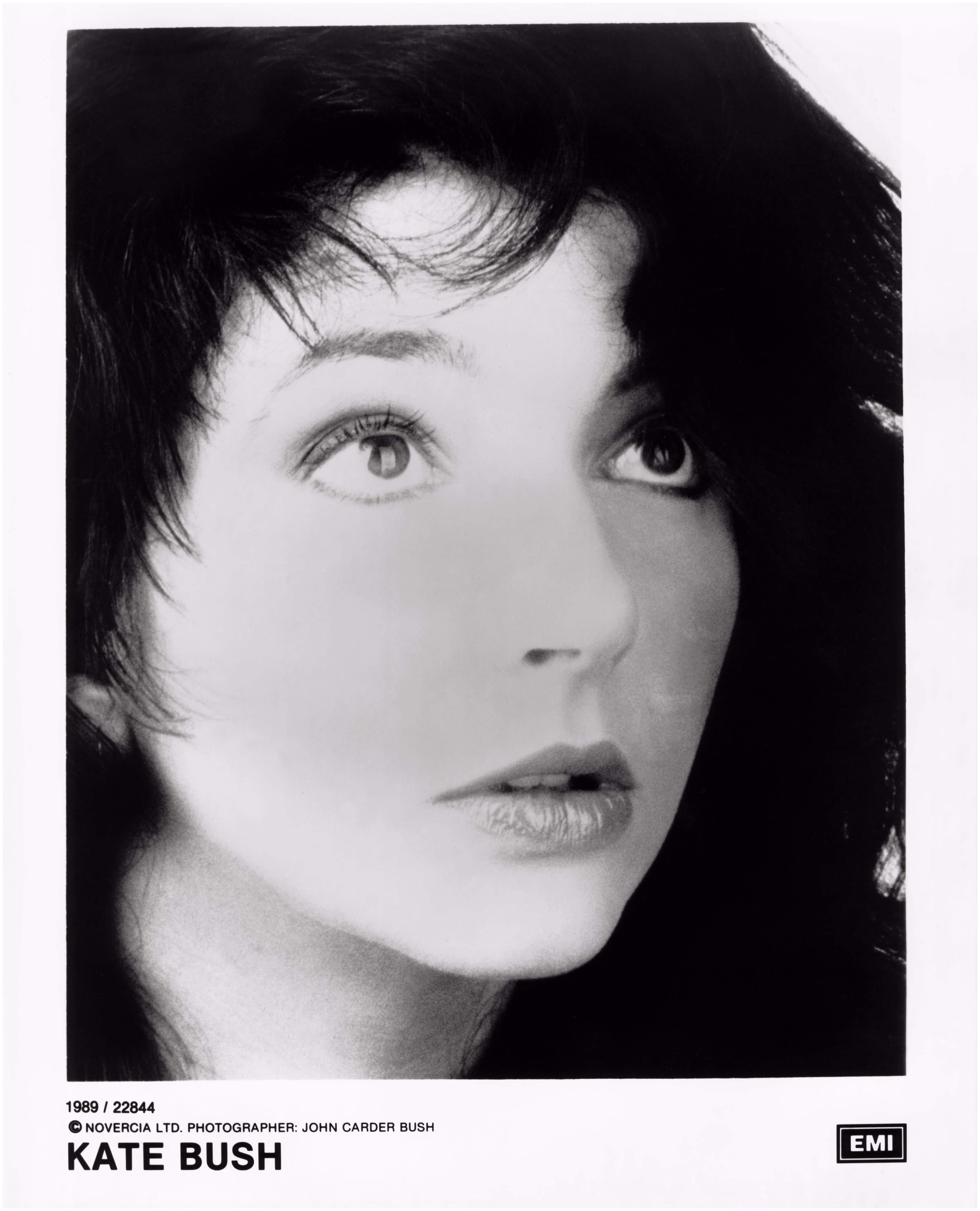'The Sensual World' Photograph