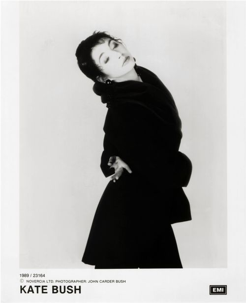 'The Sensual World' Photograph