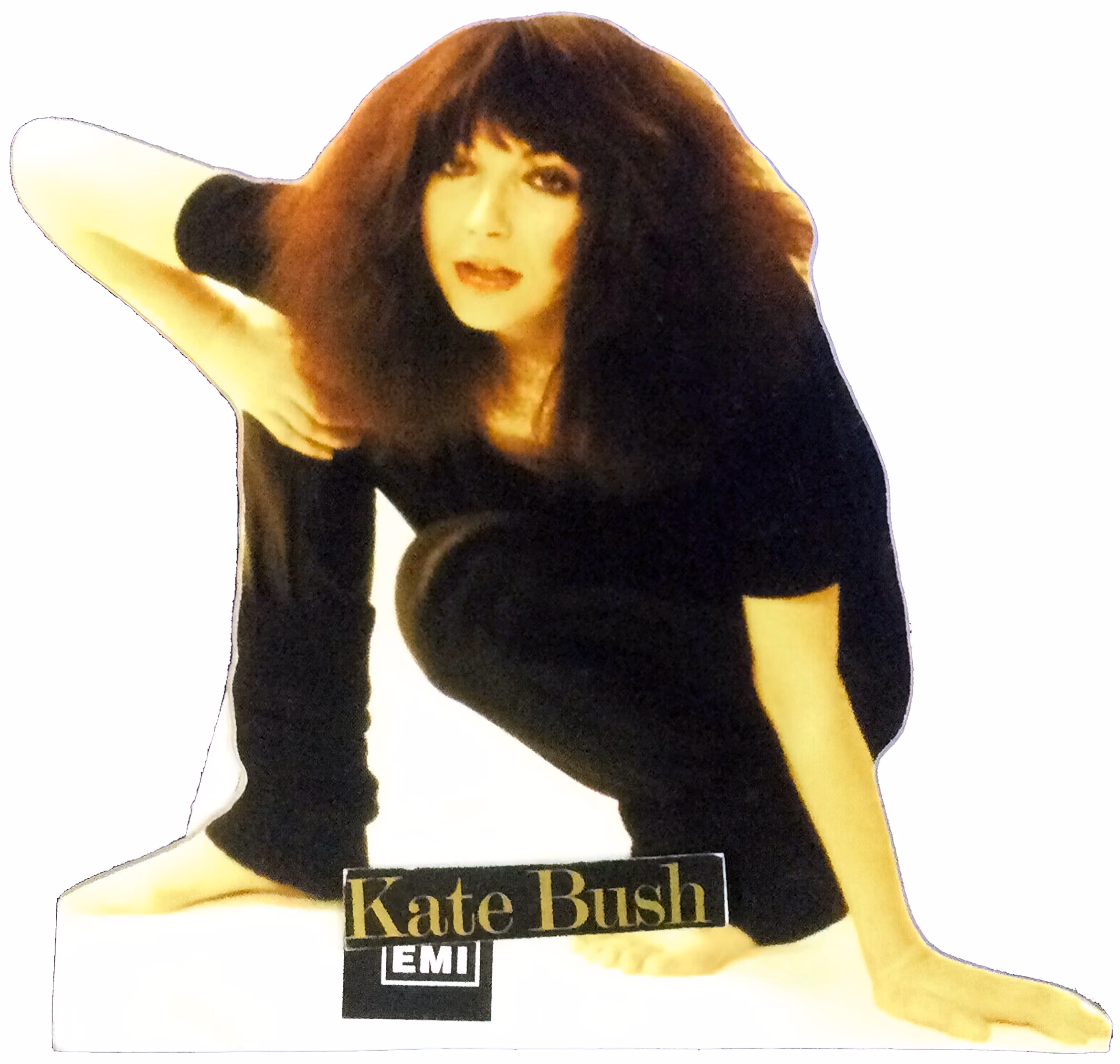 'Kate Bush' Standee