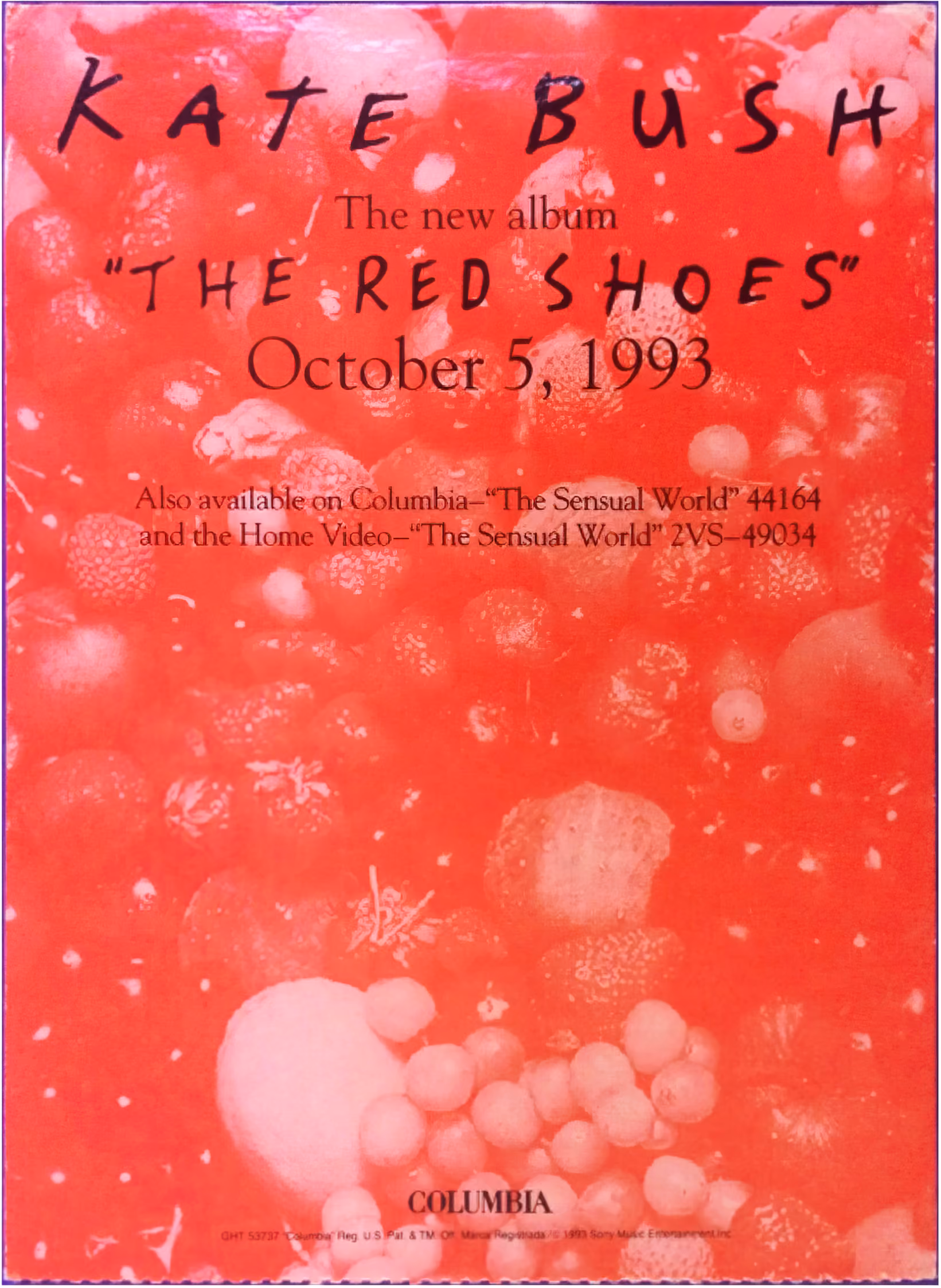 'The Red Shoes' Album CD Bin Divider