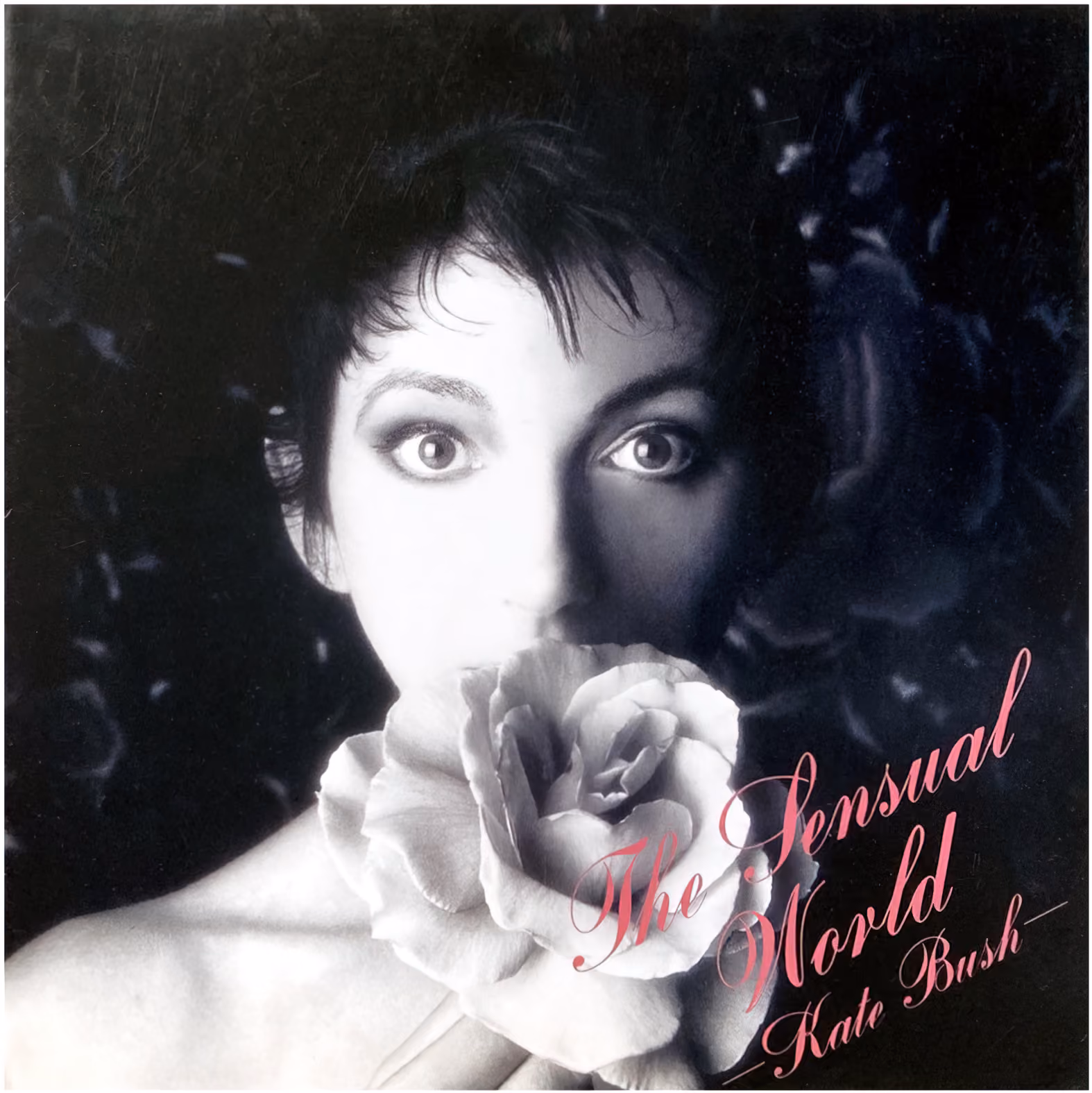 'The Sensual World' Album Fold Out Booklet