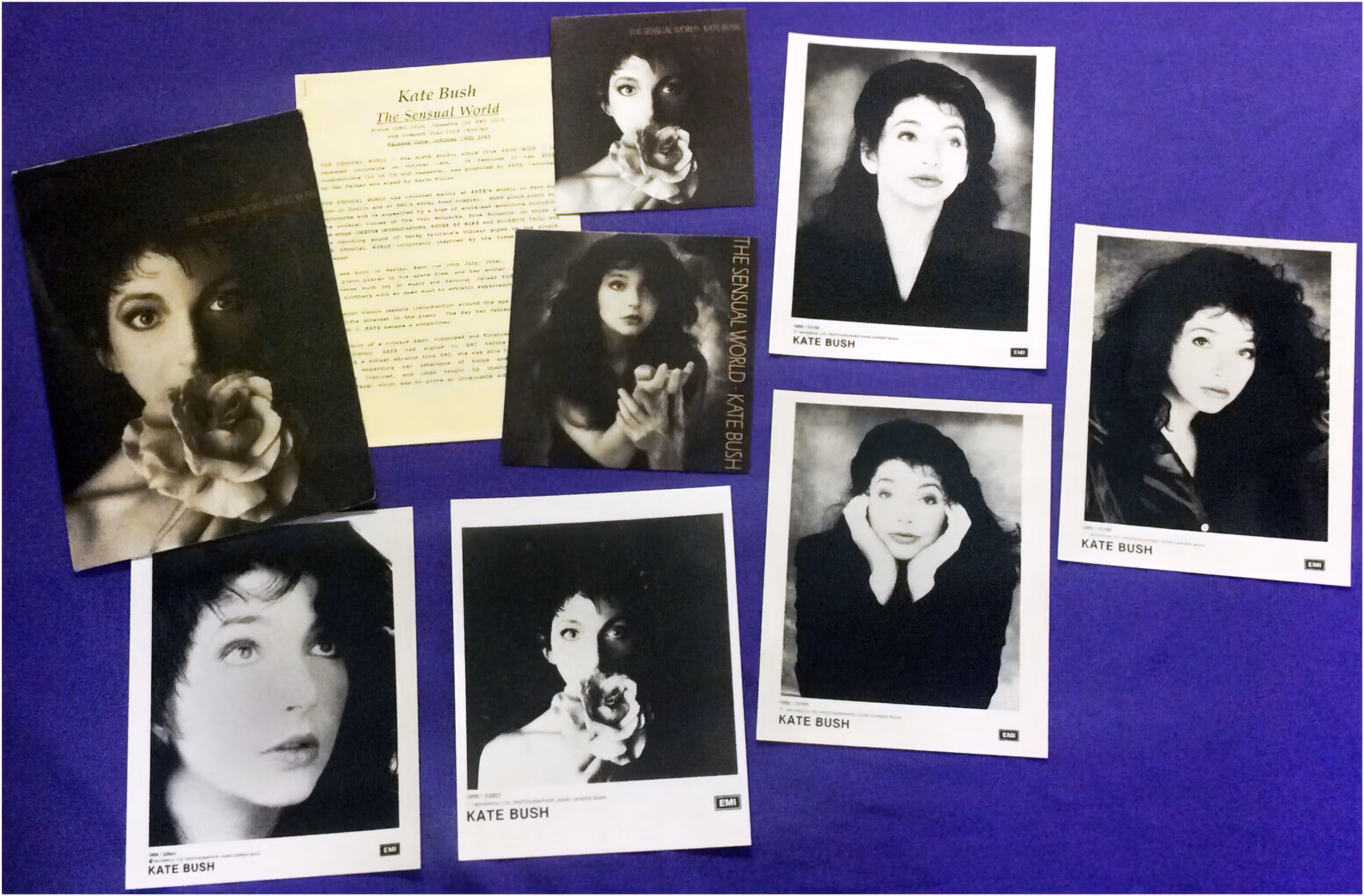 'The Sensual World' Album Press Kit