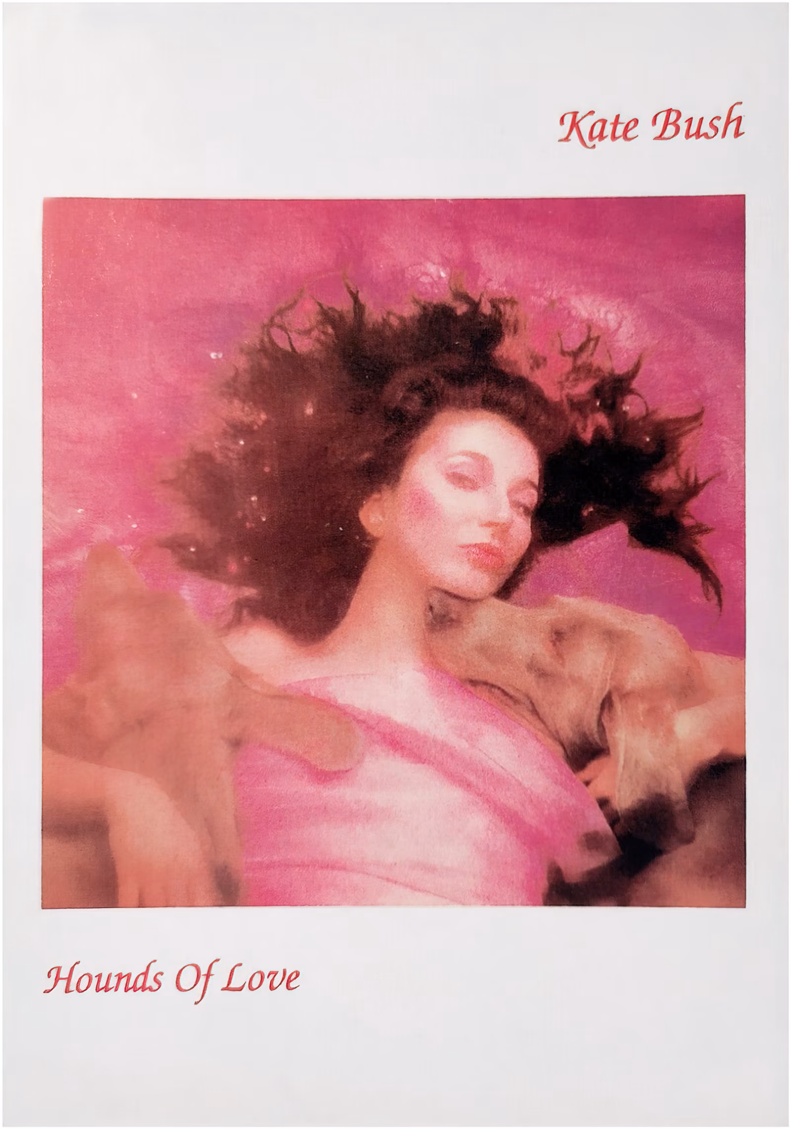 'Hounds Of Love' Album Postcard